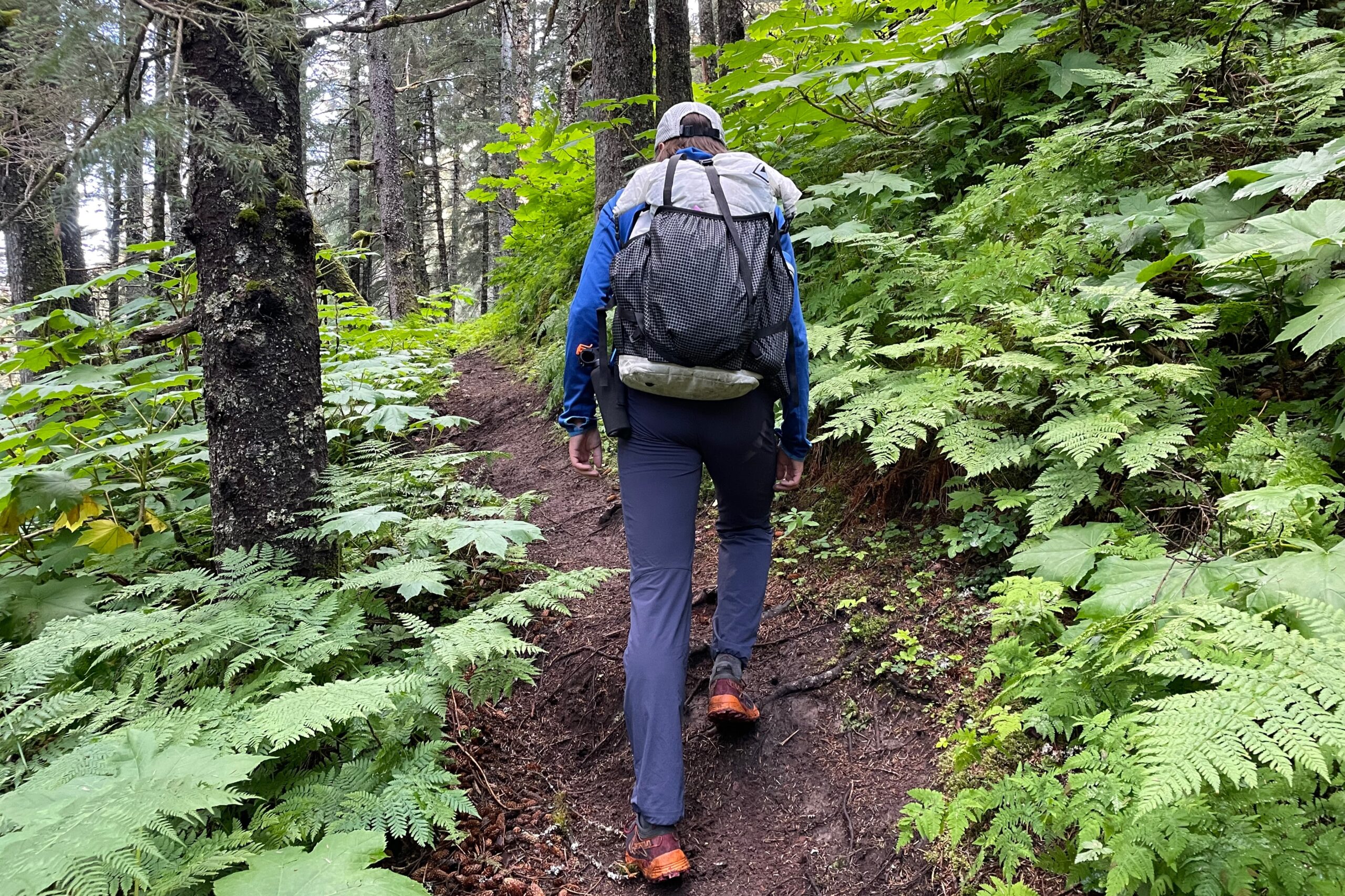 A man walks uphill through a dense forest.