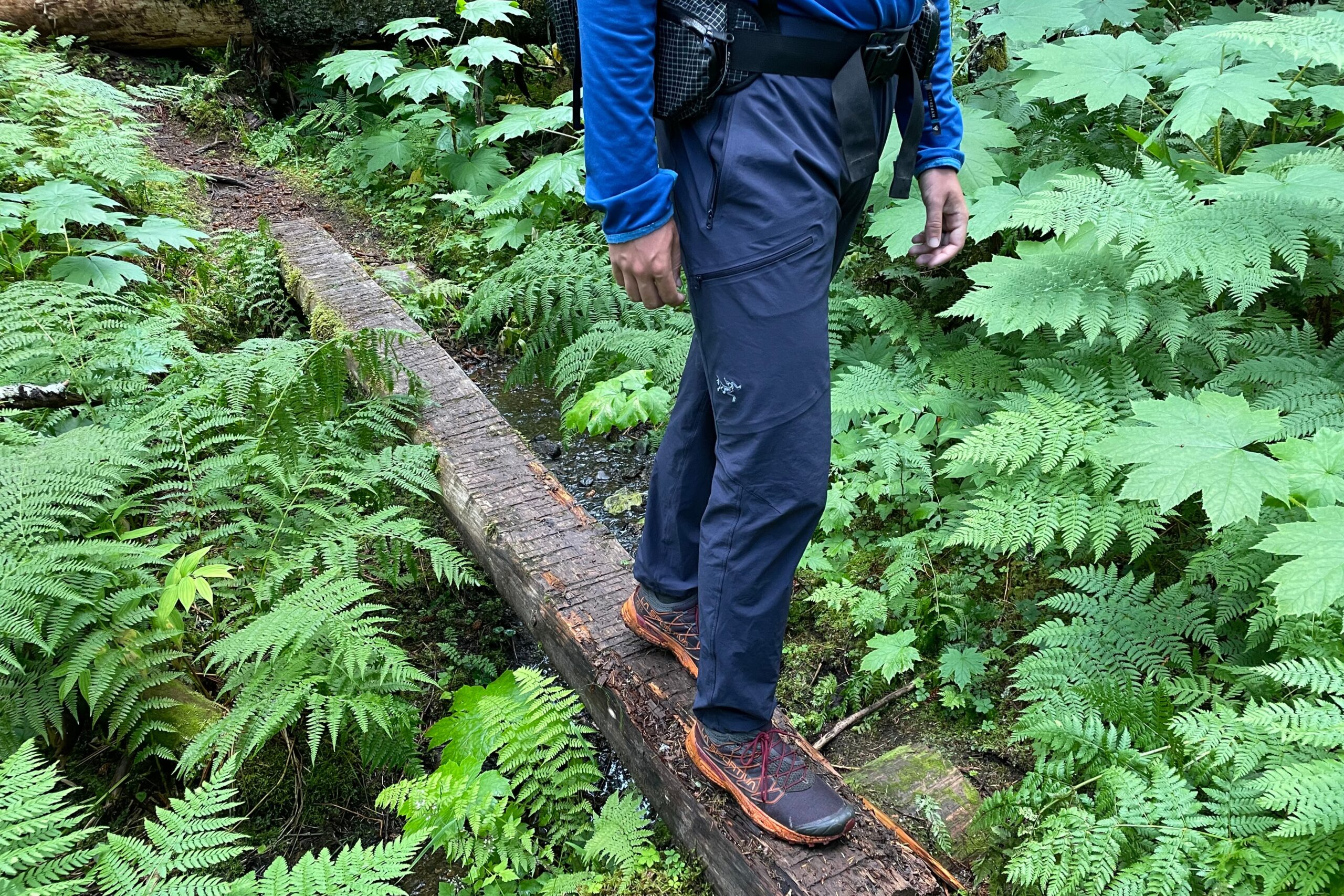 A man walks on a log bridge in lush forest.