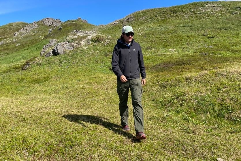 A man walks through an alpine field on a sunny day