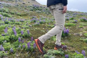 A man walks through alpine wildflowers.