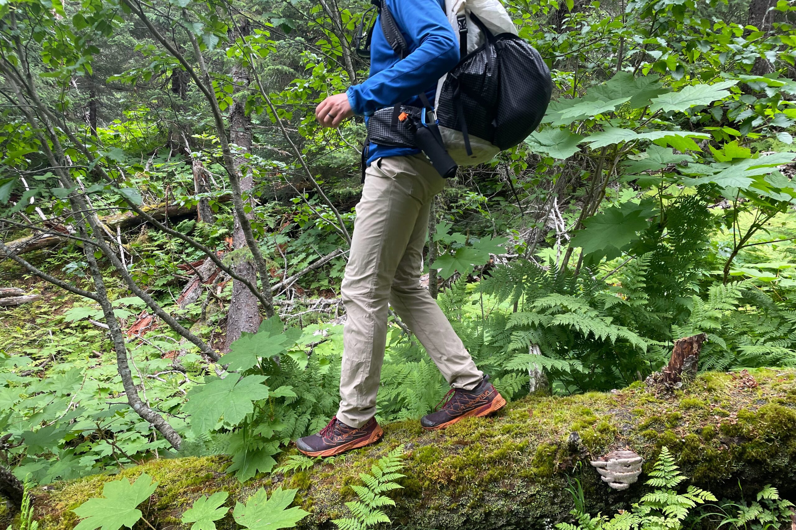 A man walks down a moss covered long in dense vegetation