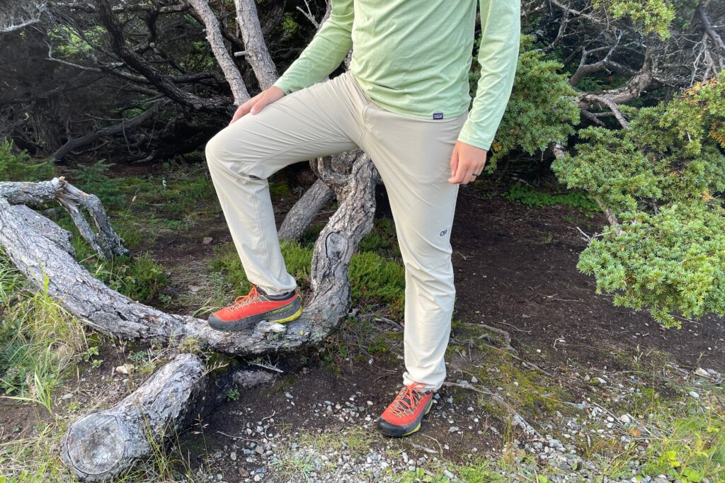 A man stands with one foot on a tree trunk in a forest.