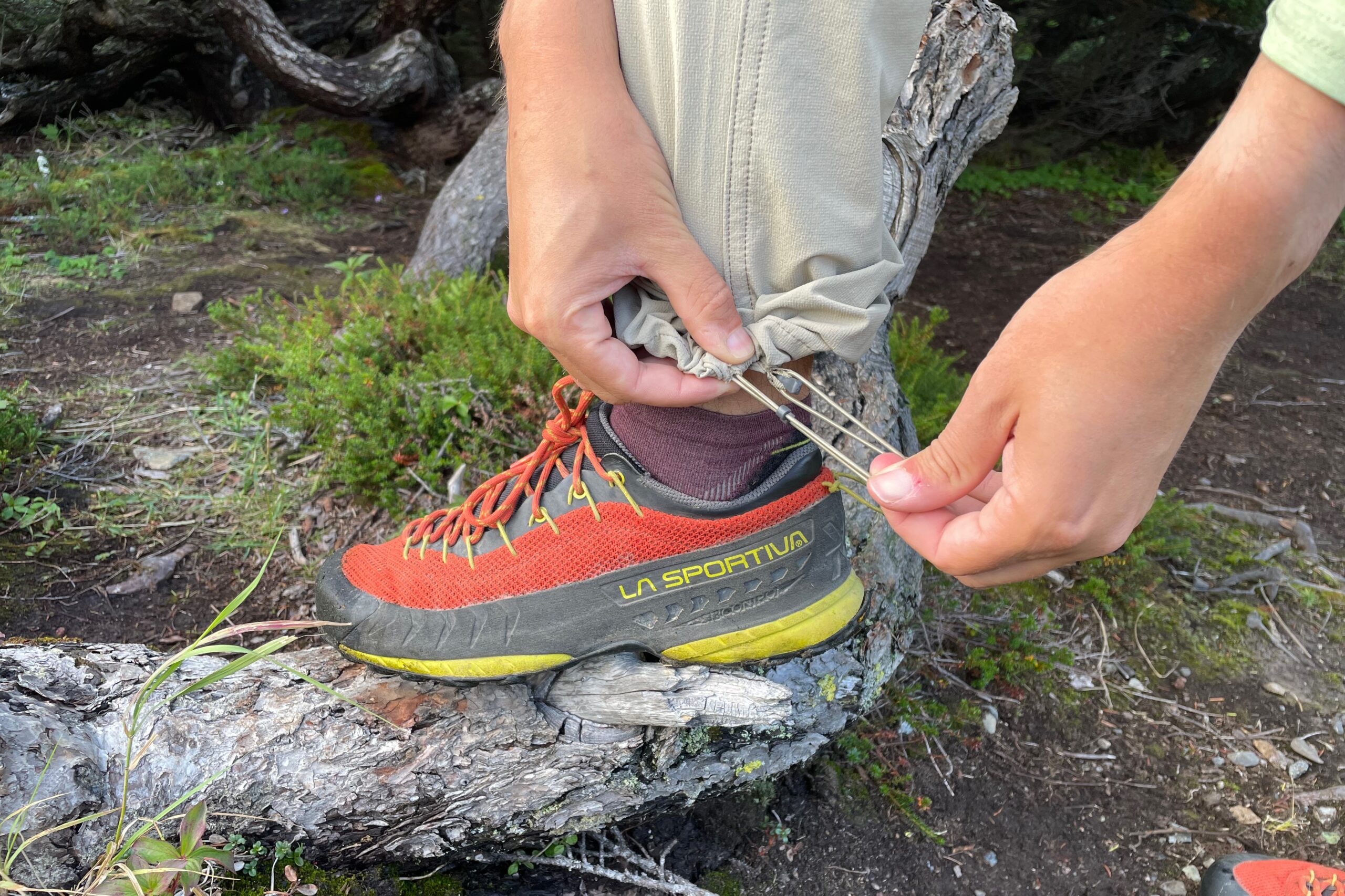 A man cinches the cuff of his pants with one foot on a tree trunk.