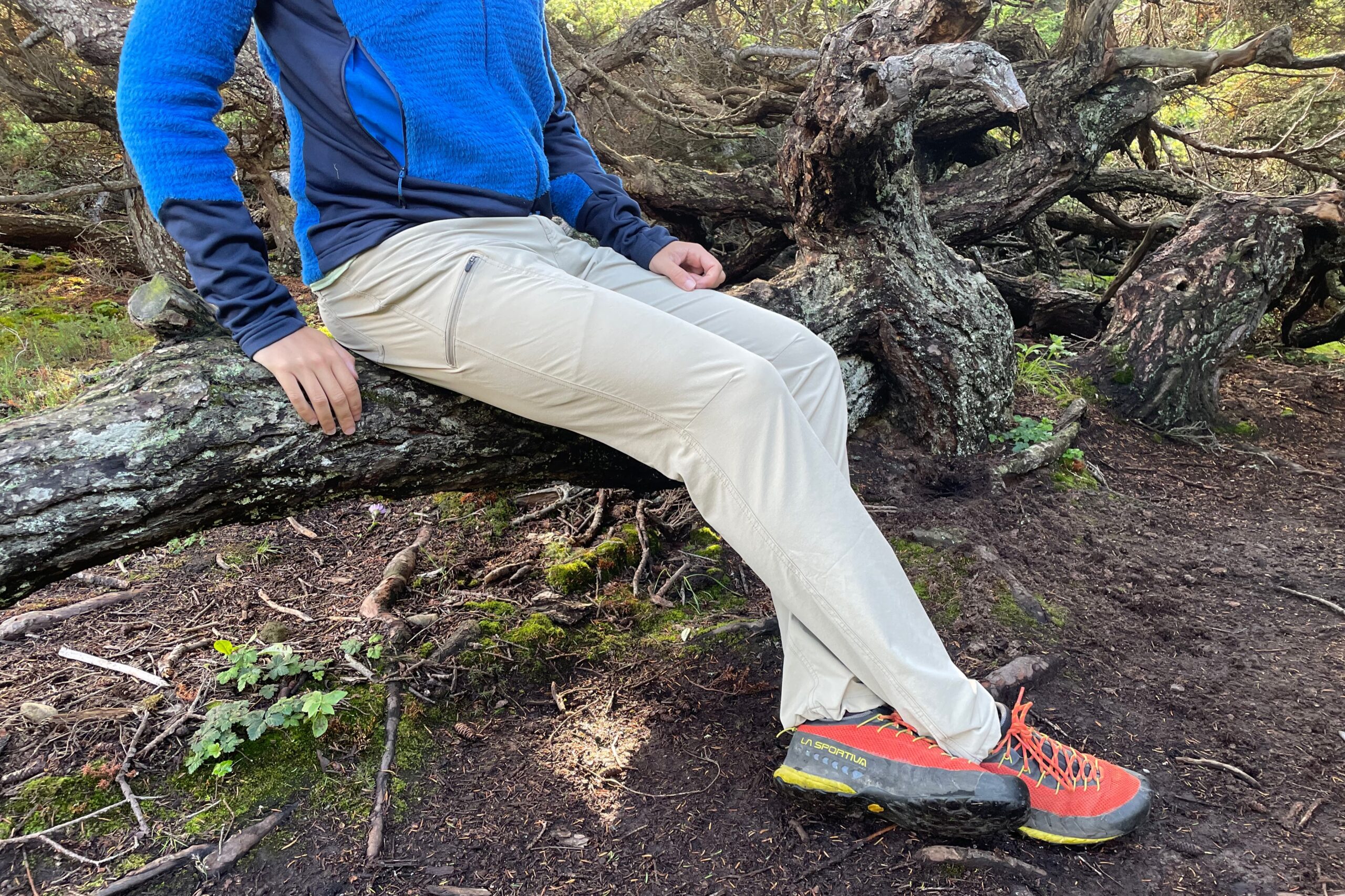 A man sits on a tree trunk in a dense forest.