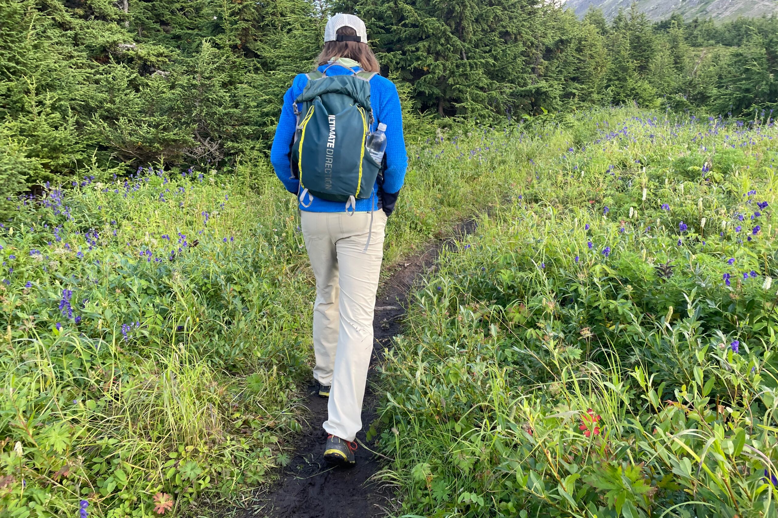 A man walks on a trail through purple flowers.