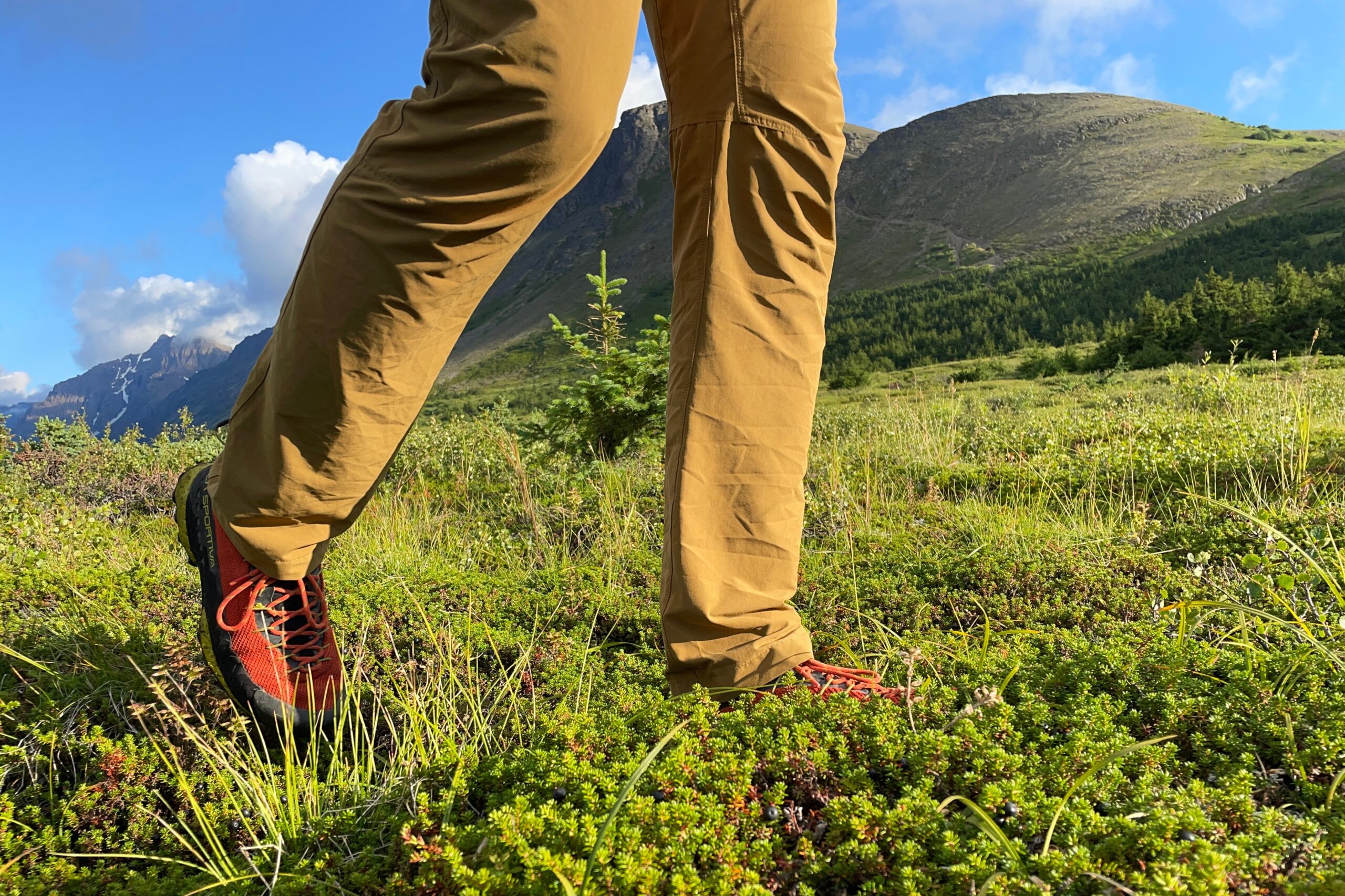 Um homem caminha pela tundra com um fundo montanhoso.