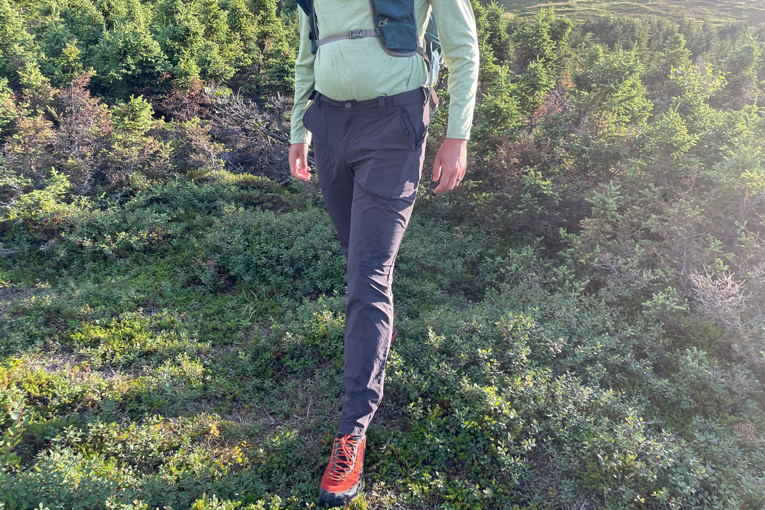 A man walks out of bushes in the alpine.