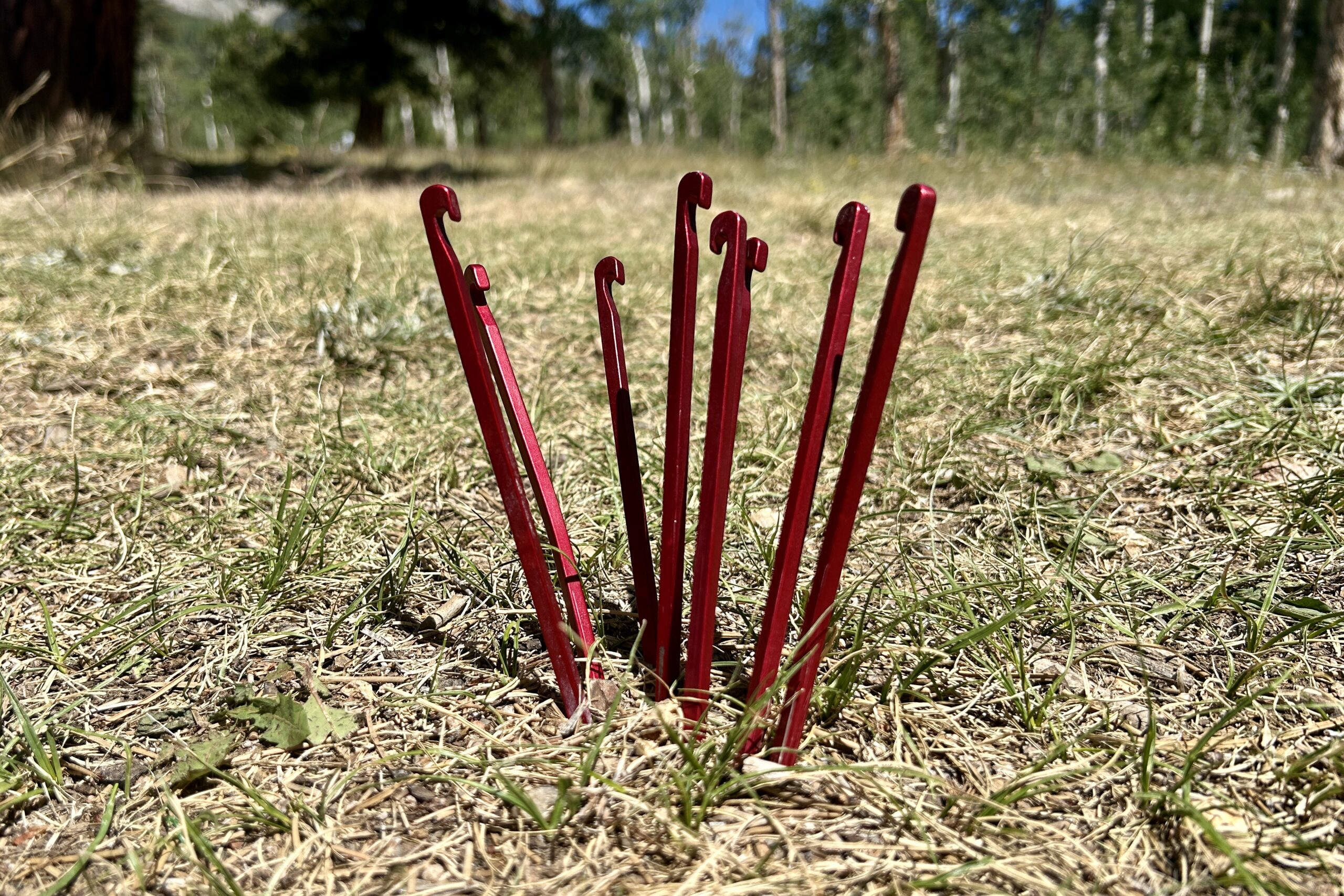 A cluster of red stakes sticking out of the ground.