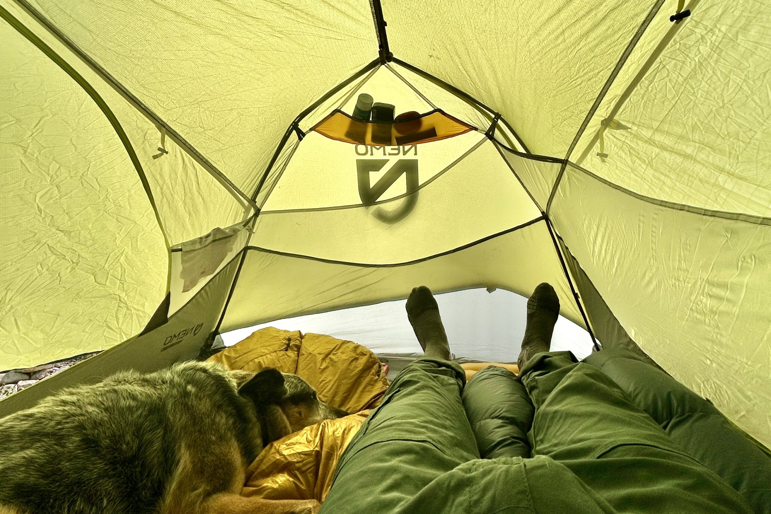 A person and a dog rest inside of a tent.