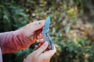 The CRKT Squid pocket knife is being closed with an outdoor background