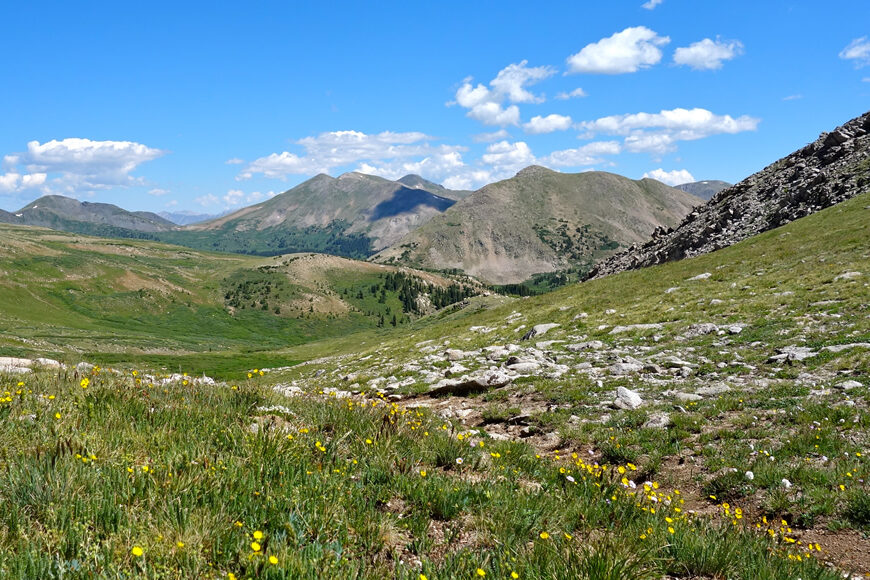 trail in the alpine on the collegiate peak loop with blue skies and some white clouds above the mountains. 