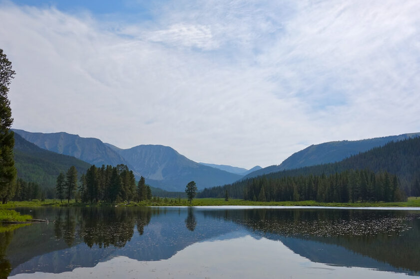 lake reflecting pines and firs in the collegiate peaks wilderness. 