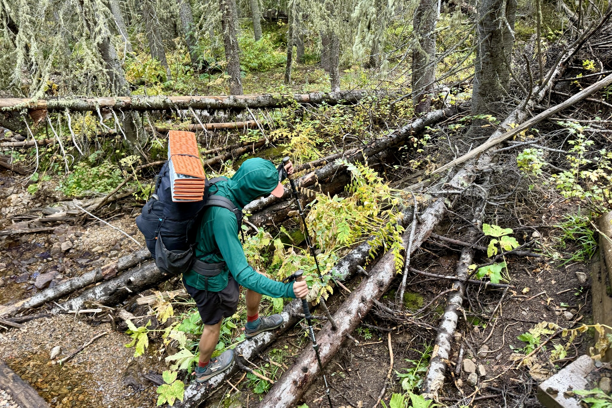 A hiker crossing over logs. He is wearing a pack and the Outdoor Research Echo Hoodie and using trekking poles. There are trees in the background.