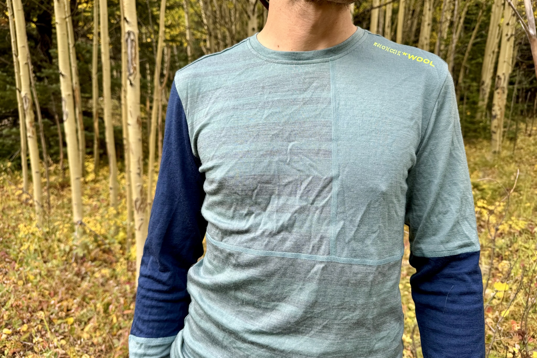 A close up of the torso of the Ortovox Rock'n'Wool on a hiker with aspen trees in the background.