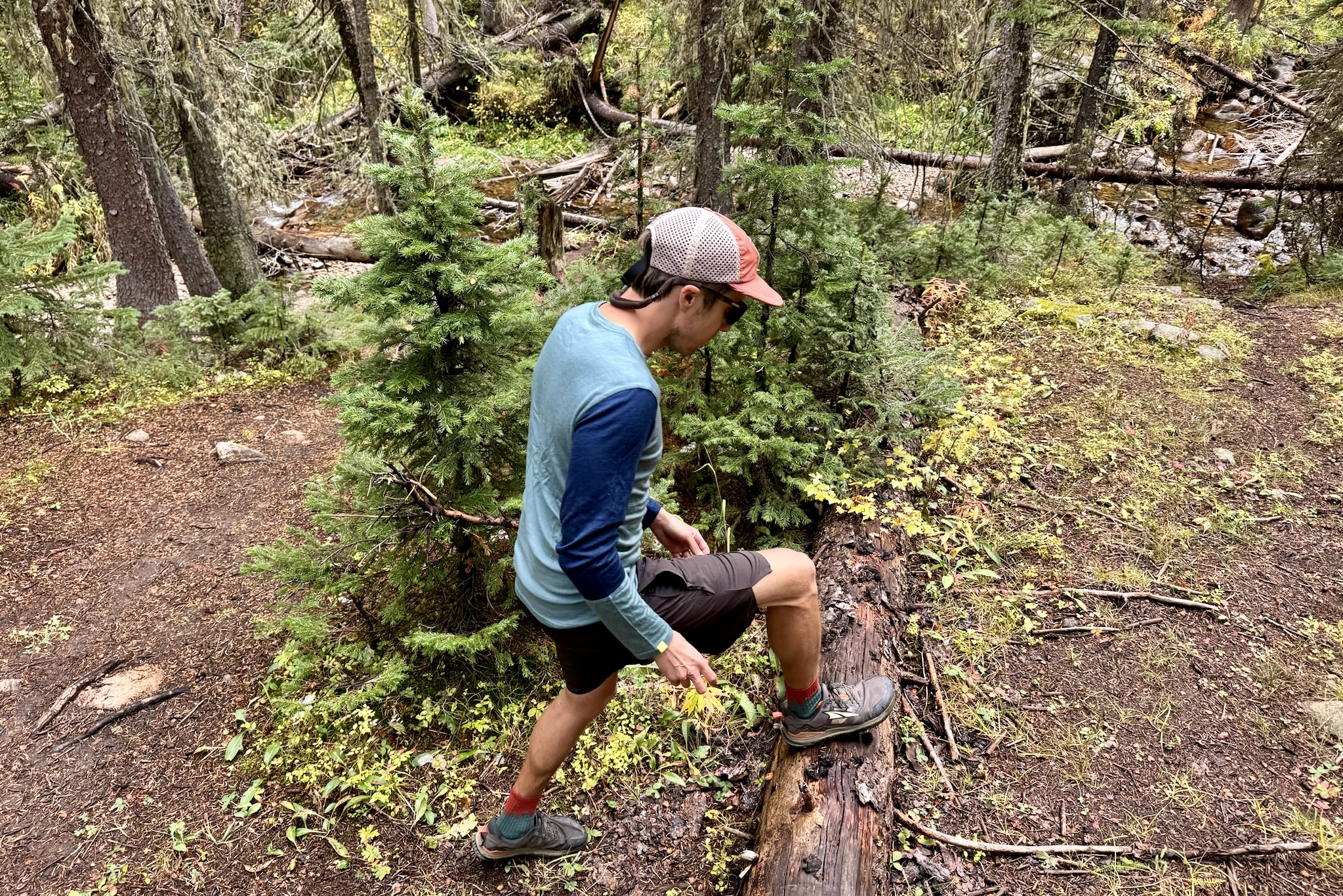 A hiker stepping over a log while wearing the Ortovox Rock'n'Wool base layer. Trees, a creek, and a log are in the background.