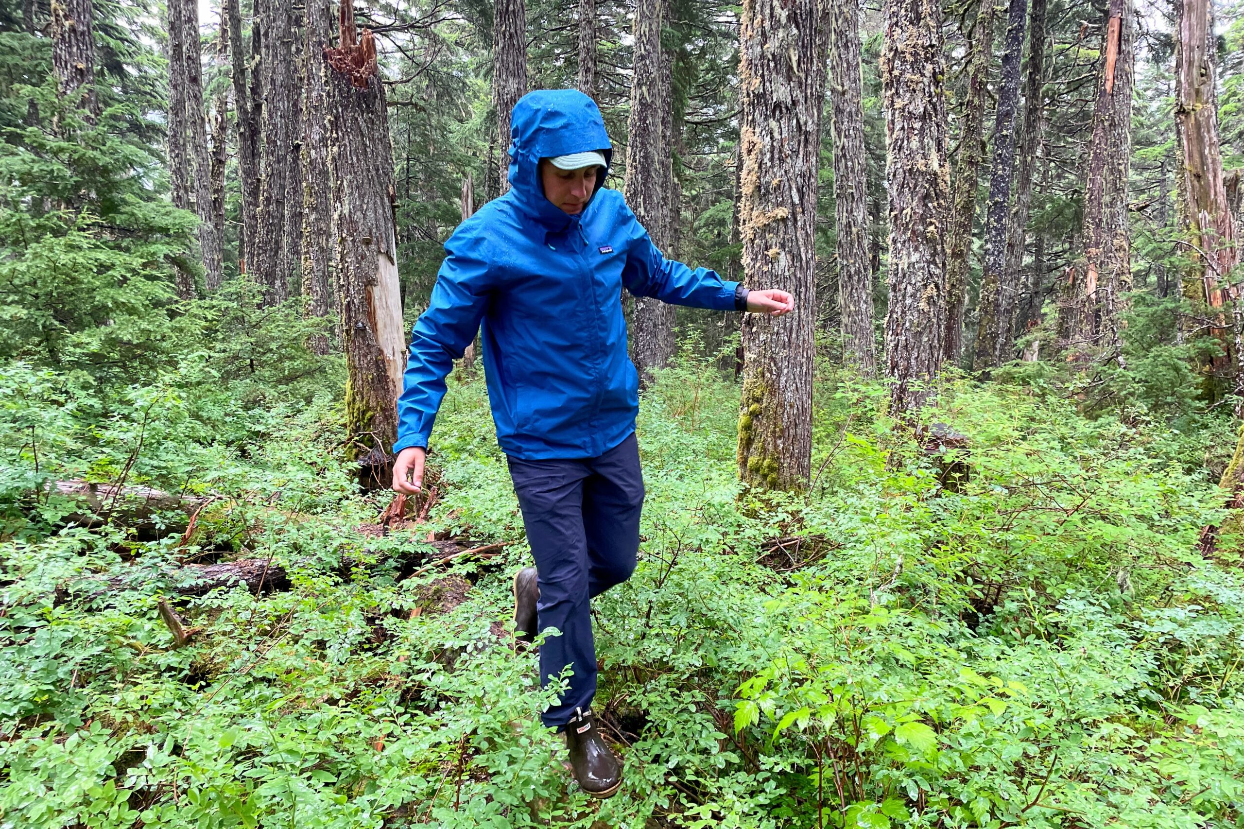 A man walks through dense undergrowth in a mossy forest.