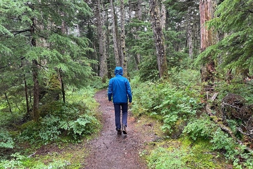 A man walks down a forest trail wearing a hooded rain jacket.