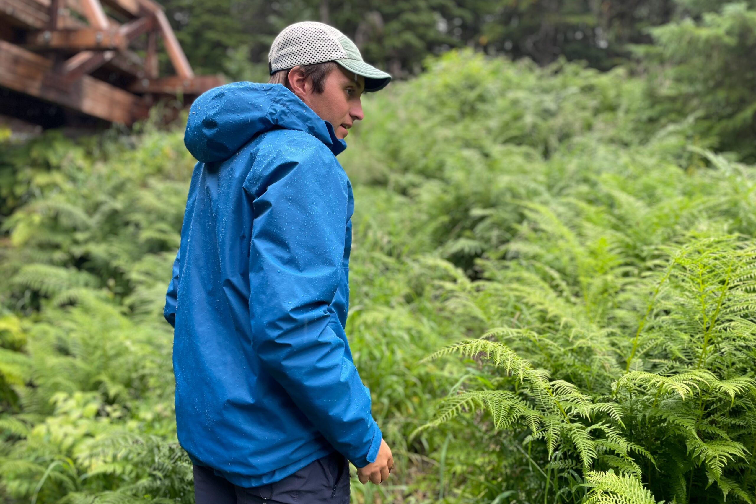 A man walks through lush ferns in the rain