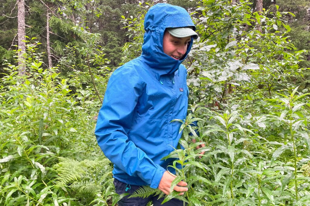 A man walks through wet vegetation