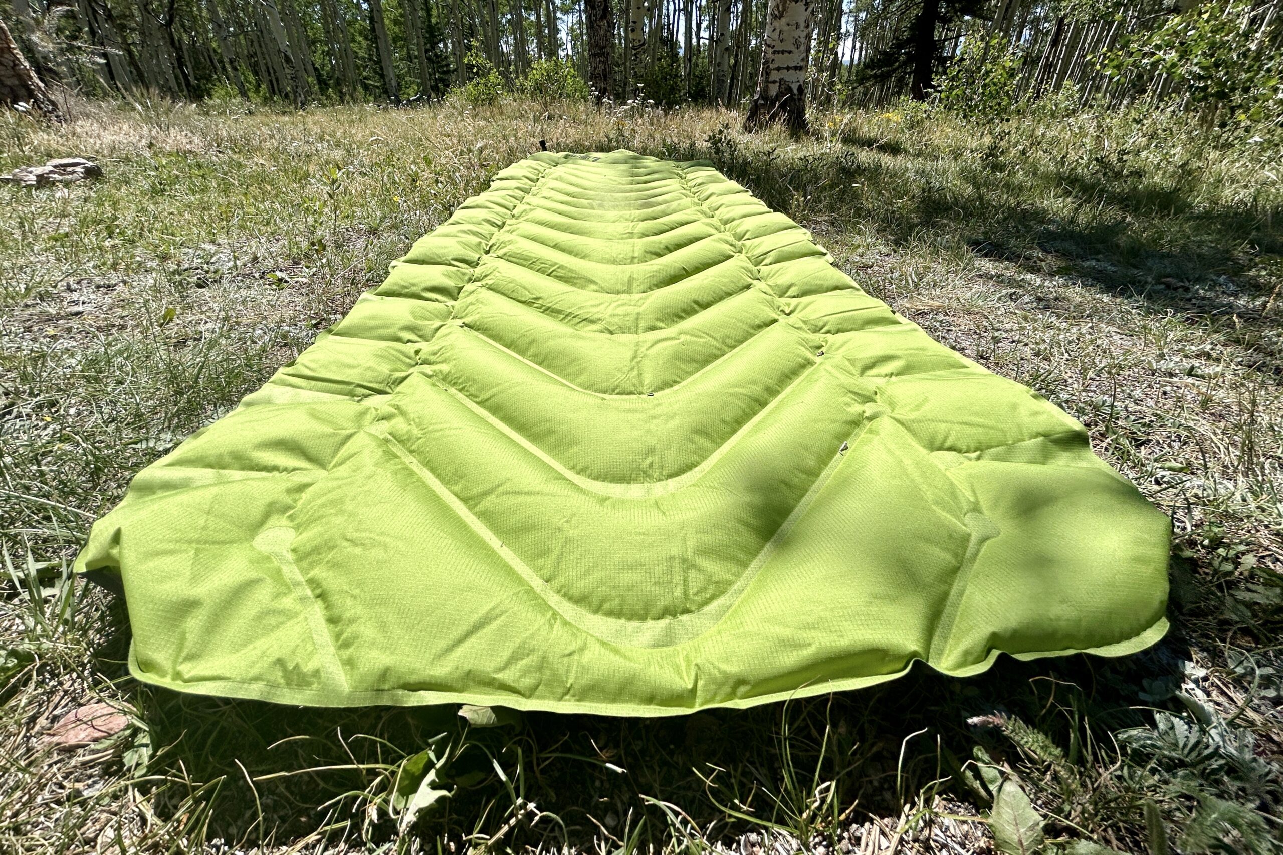 A sleeping pad rests on the ground in the woods.