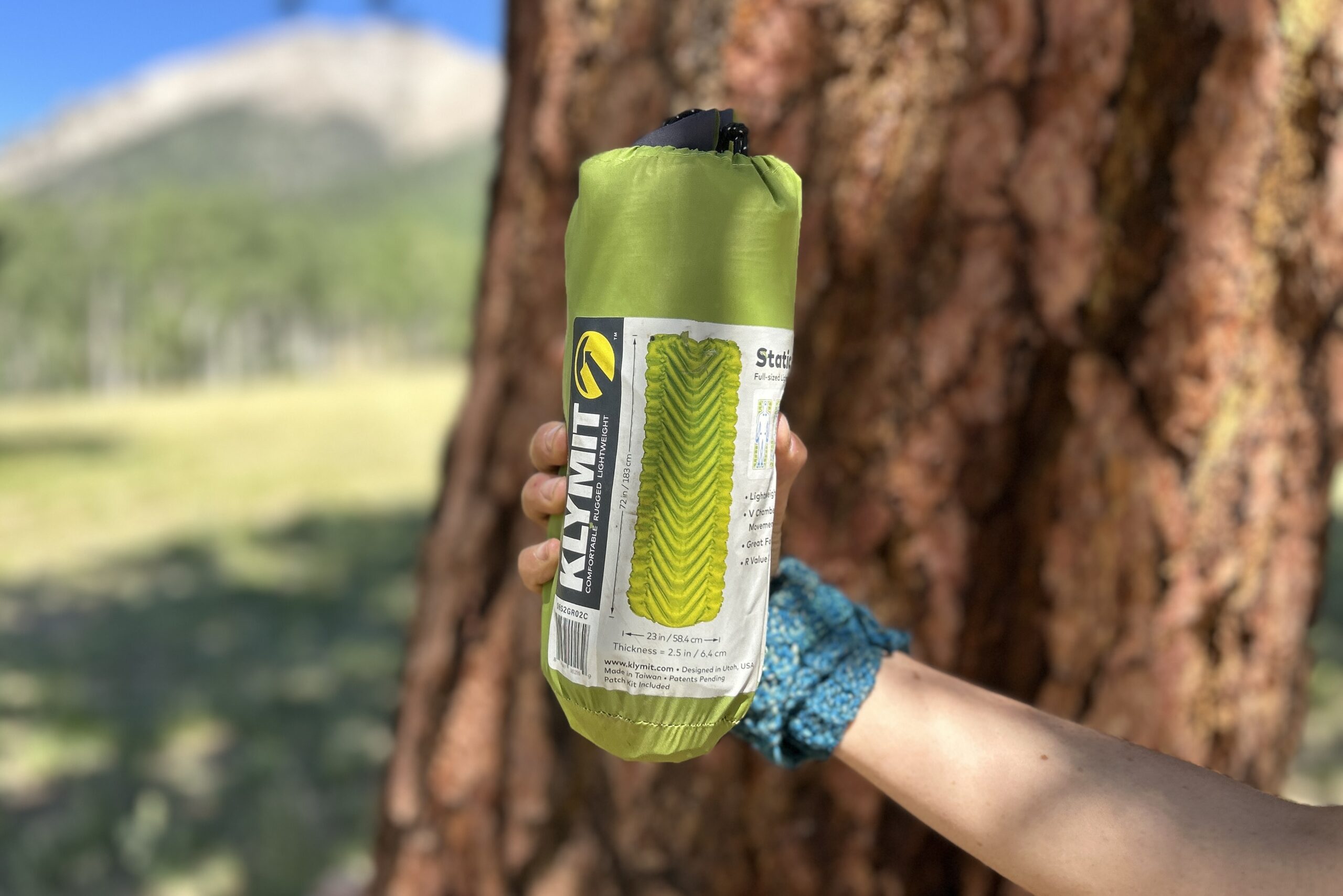 A person stands holding a green stuff saxk with a tree and mountains in the background.