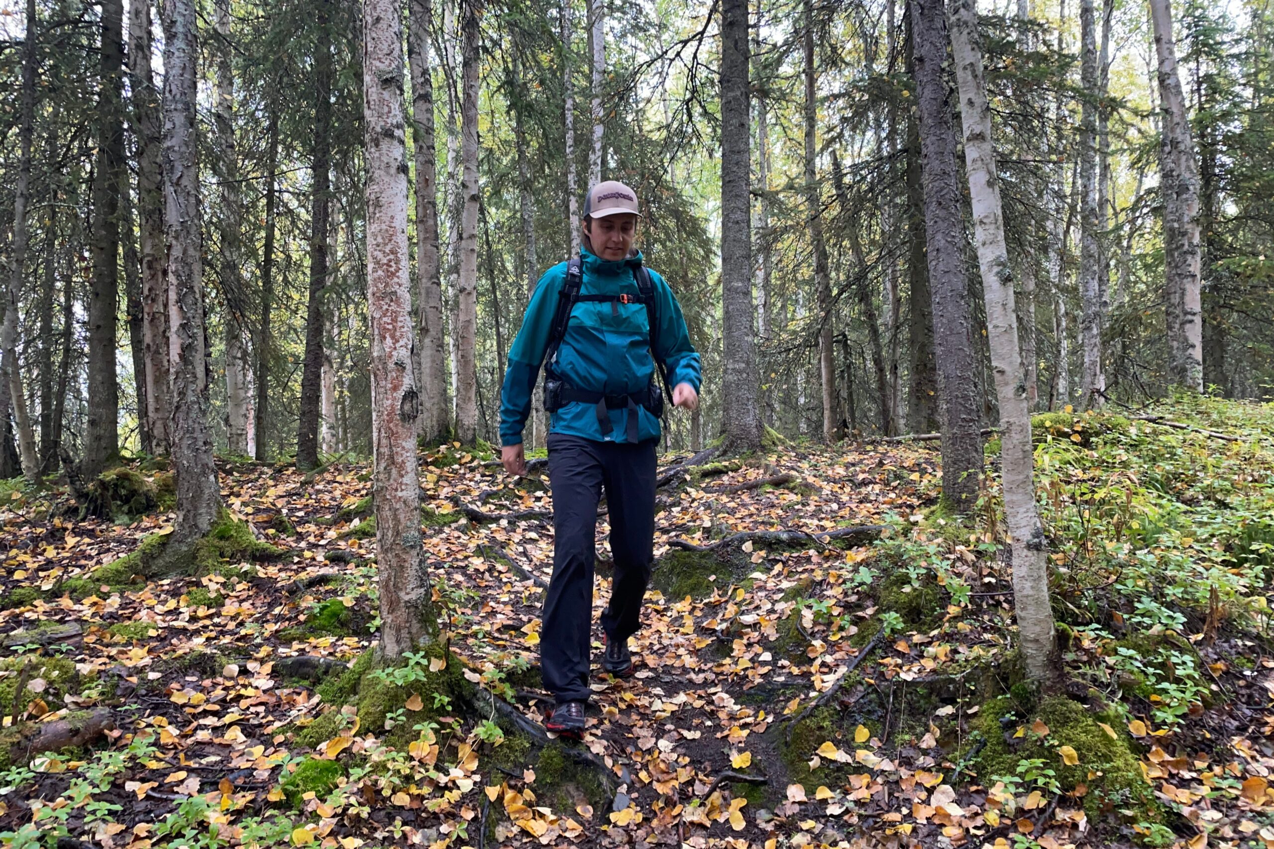 A man walks through a forest with yellow leaves covering the ground.