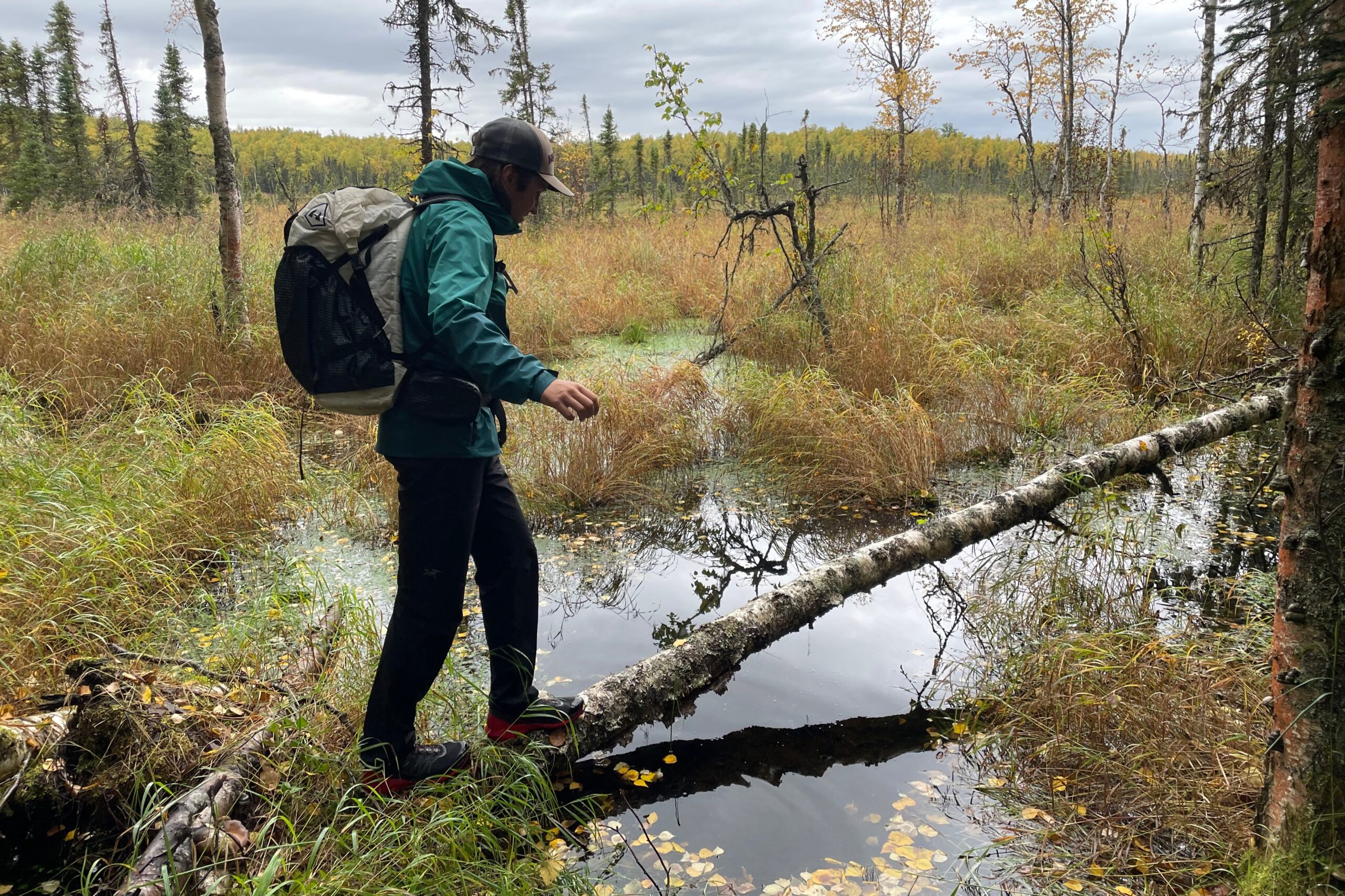 A man walks on a lang over a swampy area