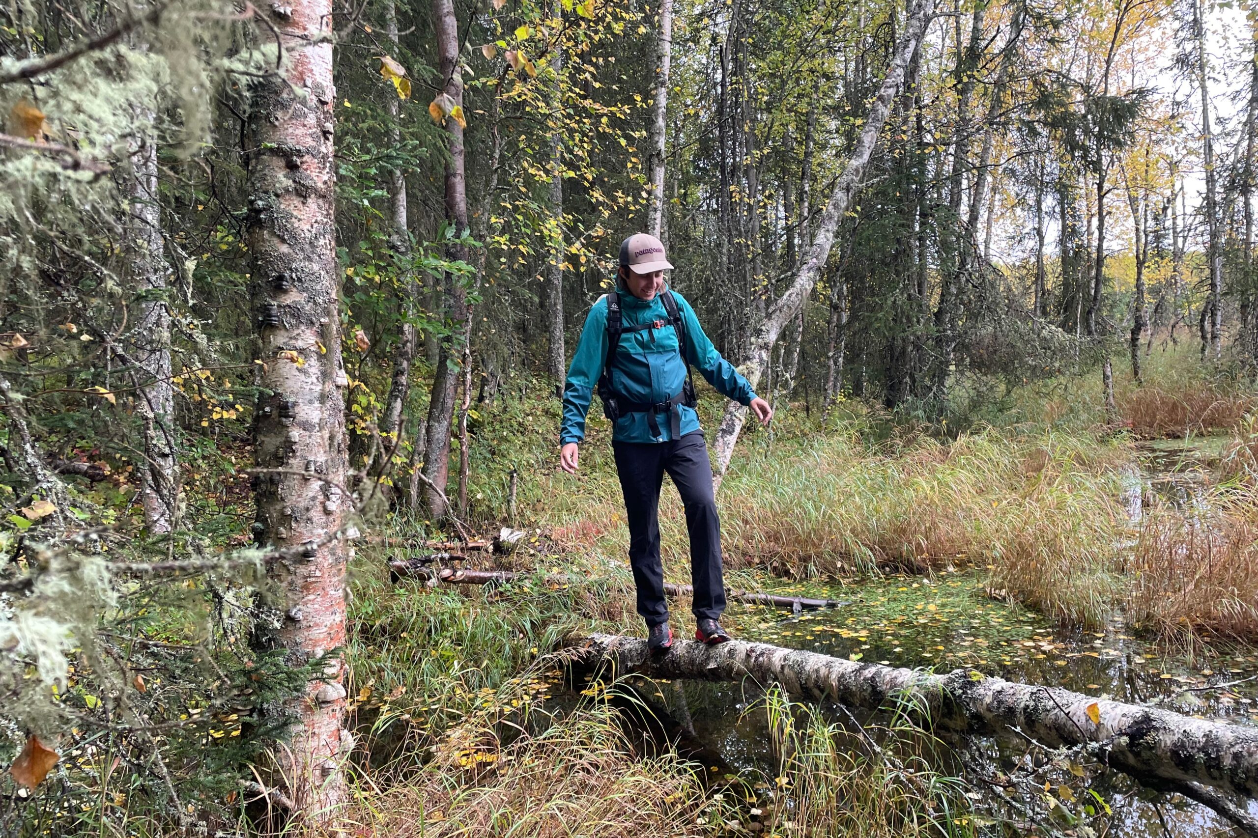 A man walks along a log in a forest.