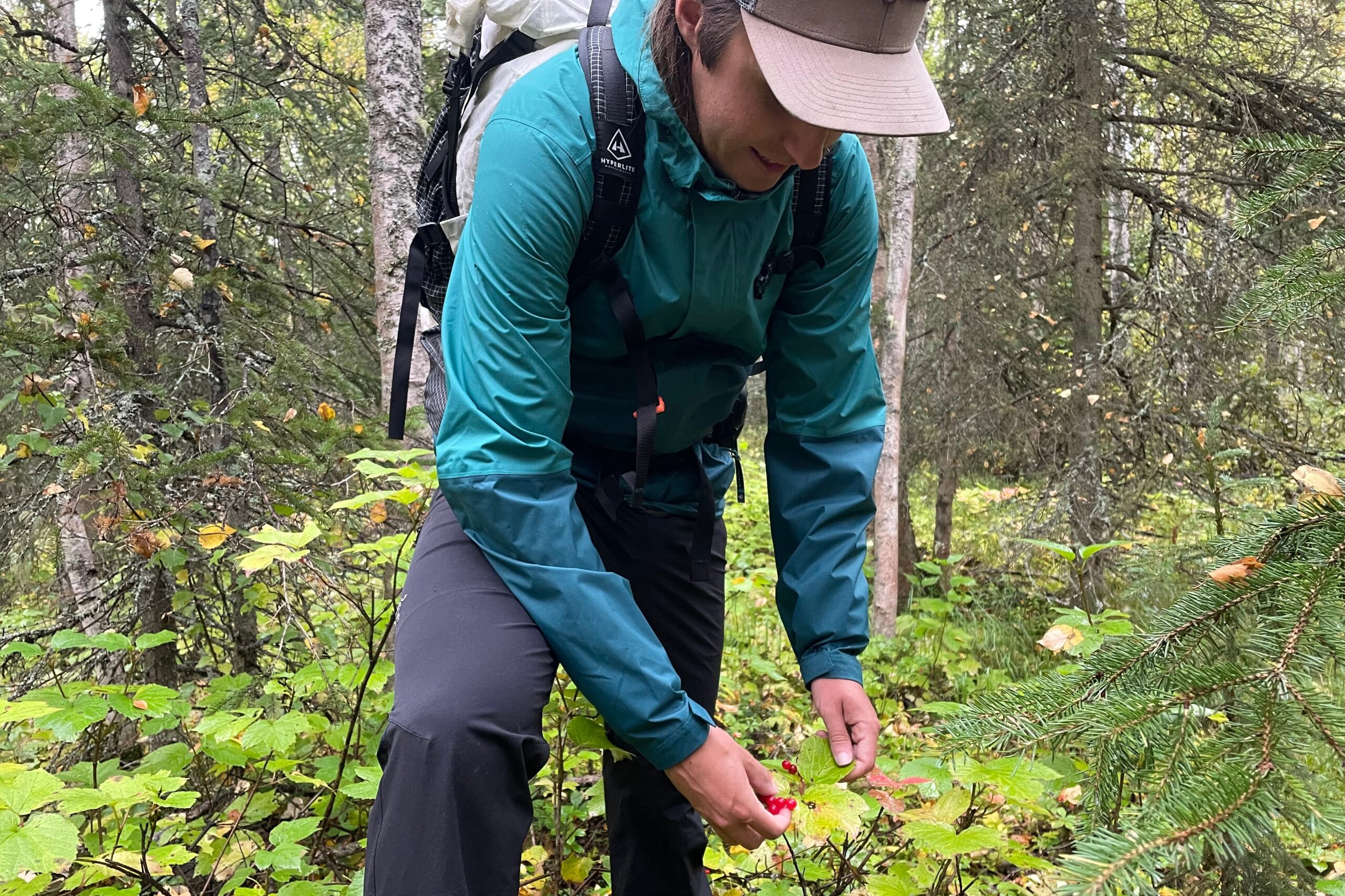 A man picks berries in the forest wearing a blue rain jacket.