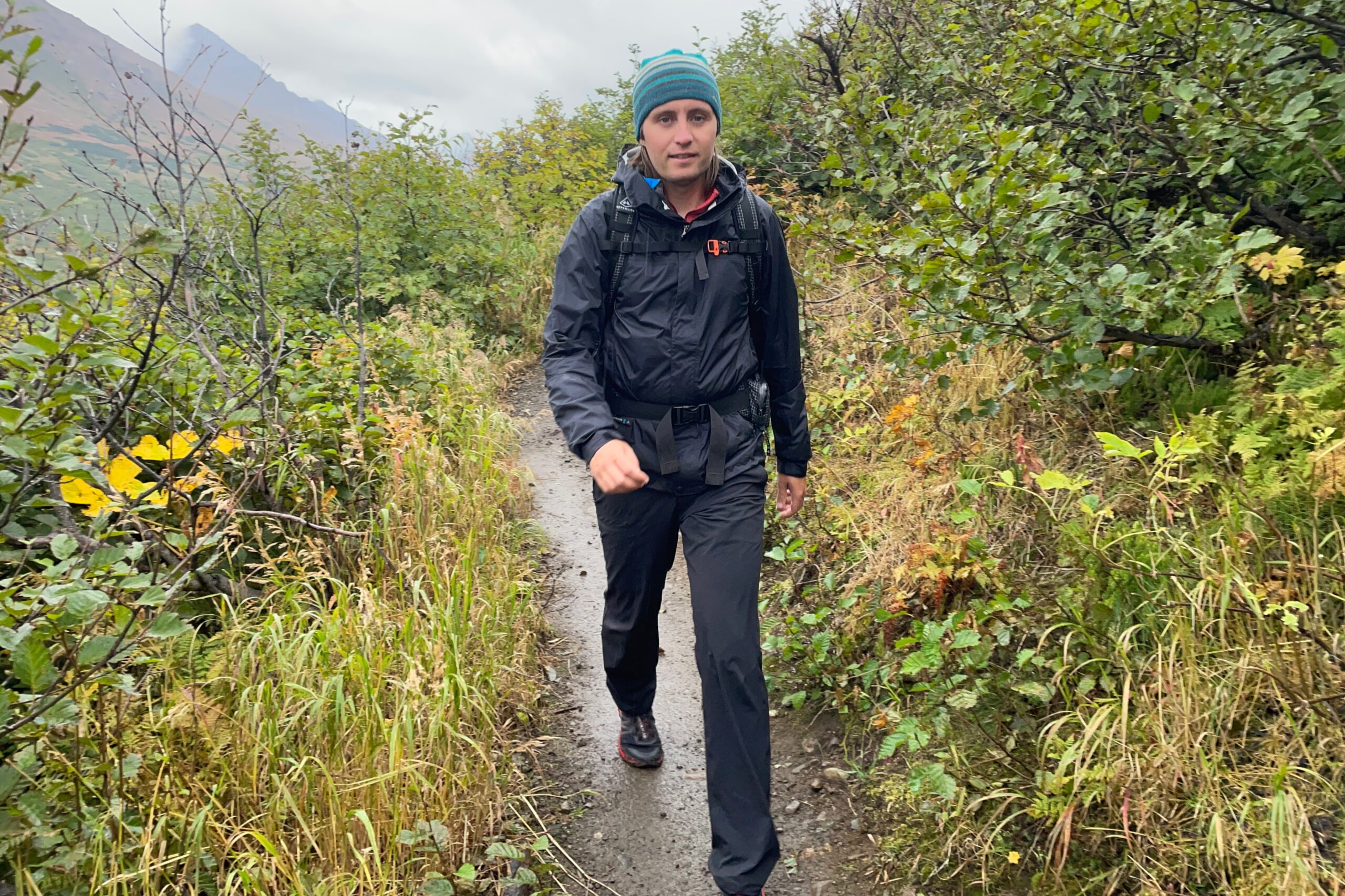 A man walks through brush down a mountain trail