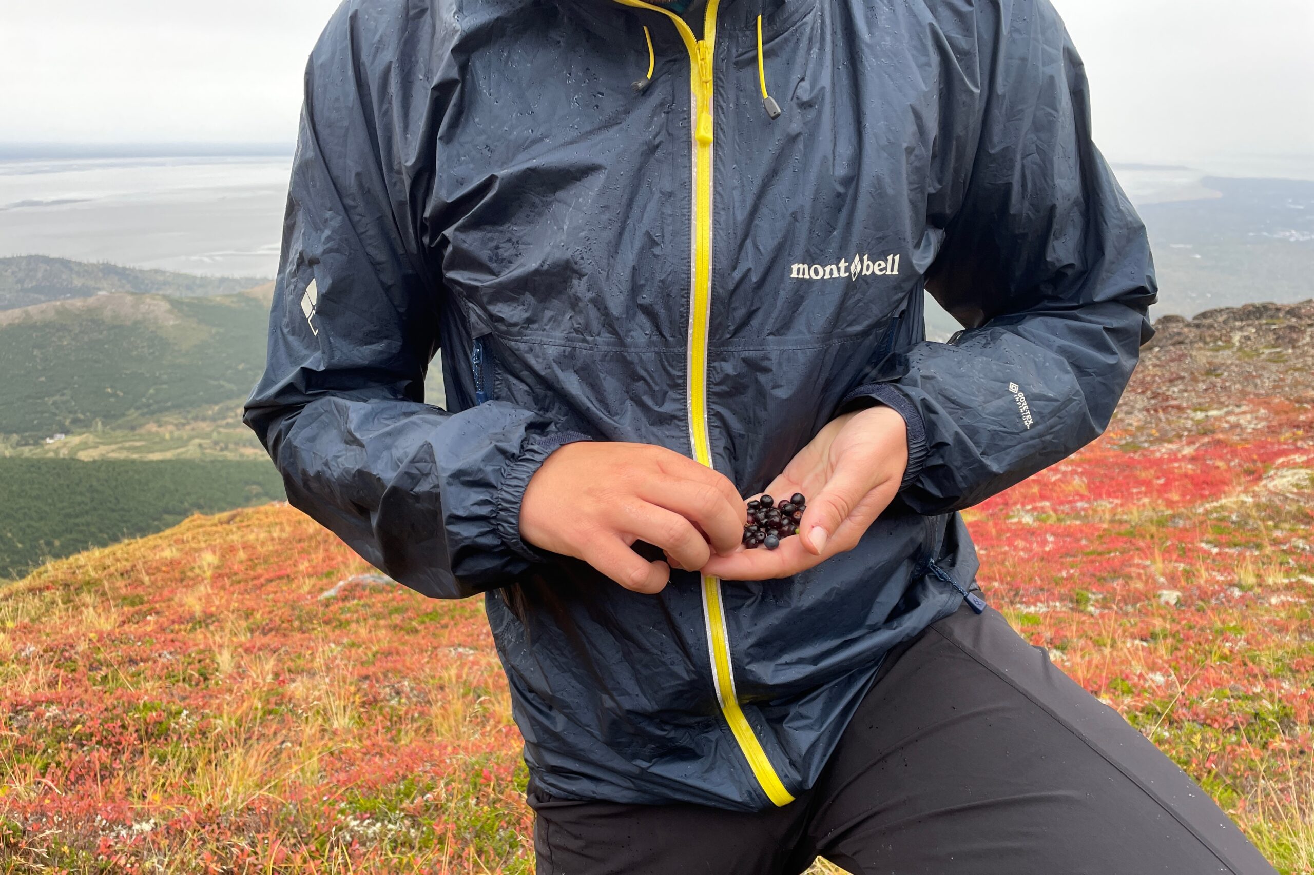 A closeup of a man wearing a rain coat holding wild berries.