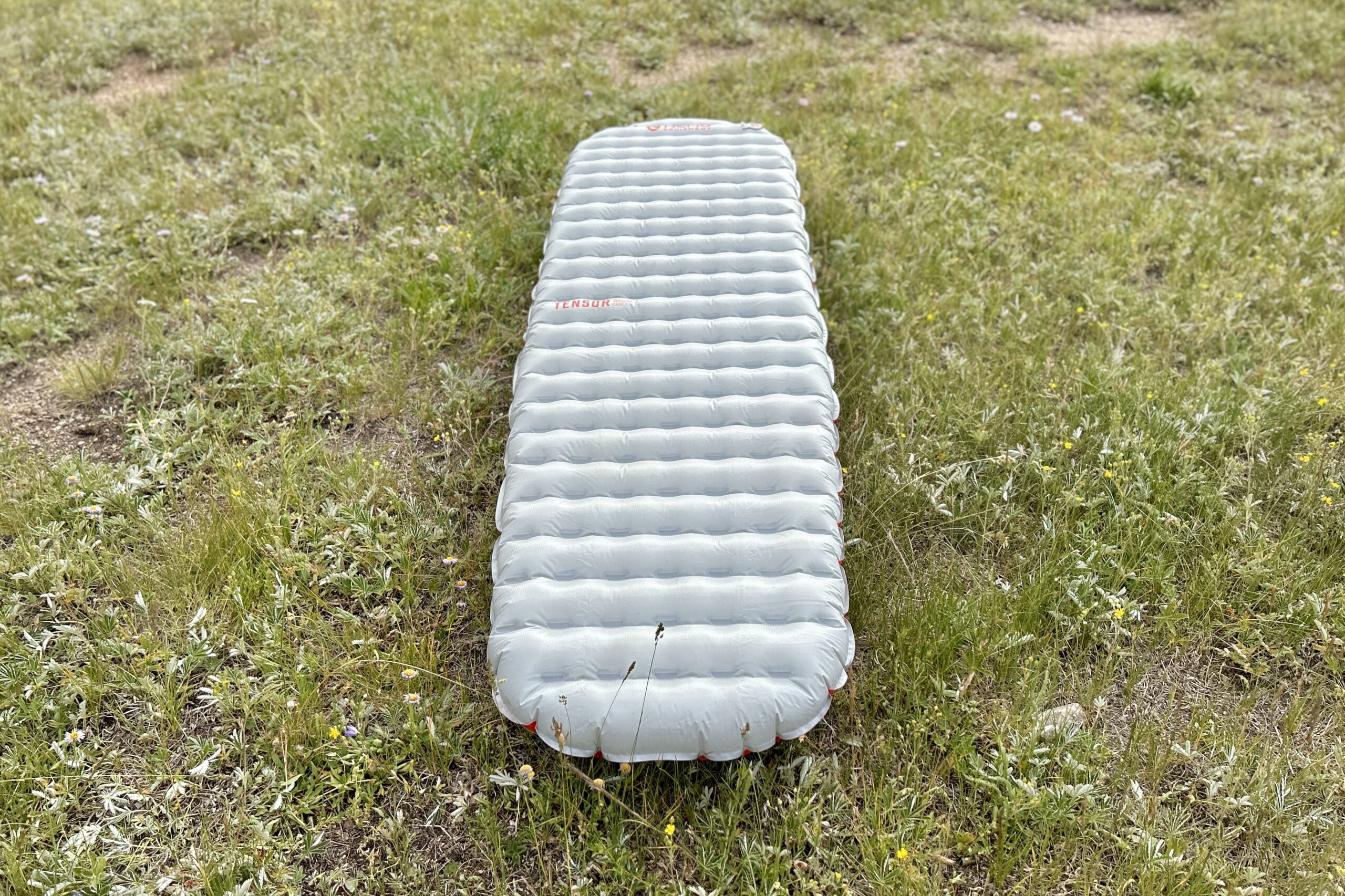 A sleeping pad rests on the ground in a field, surrounded by grass.