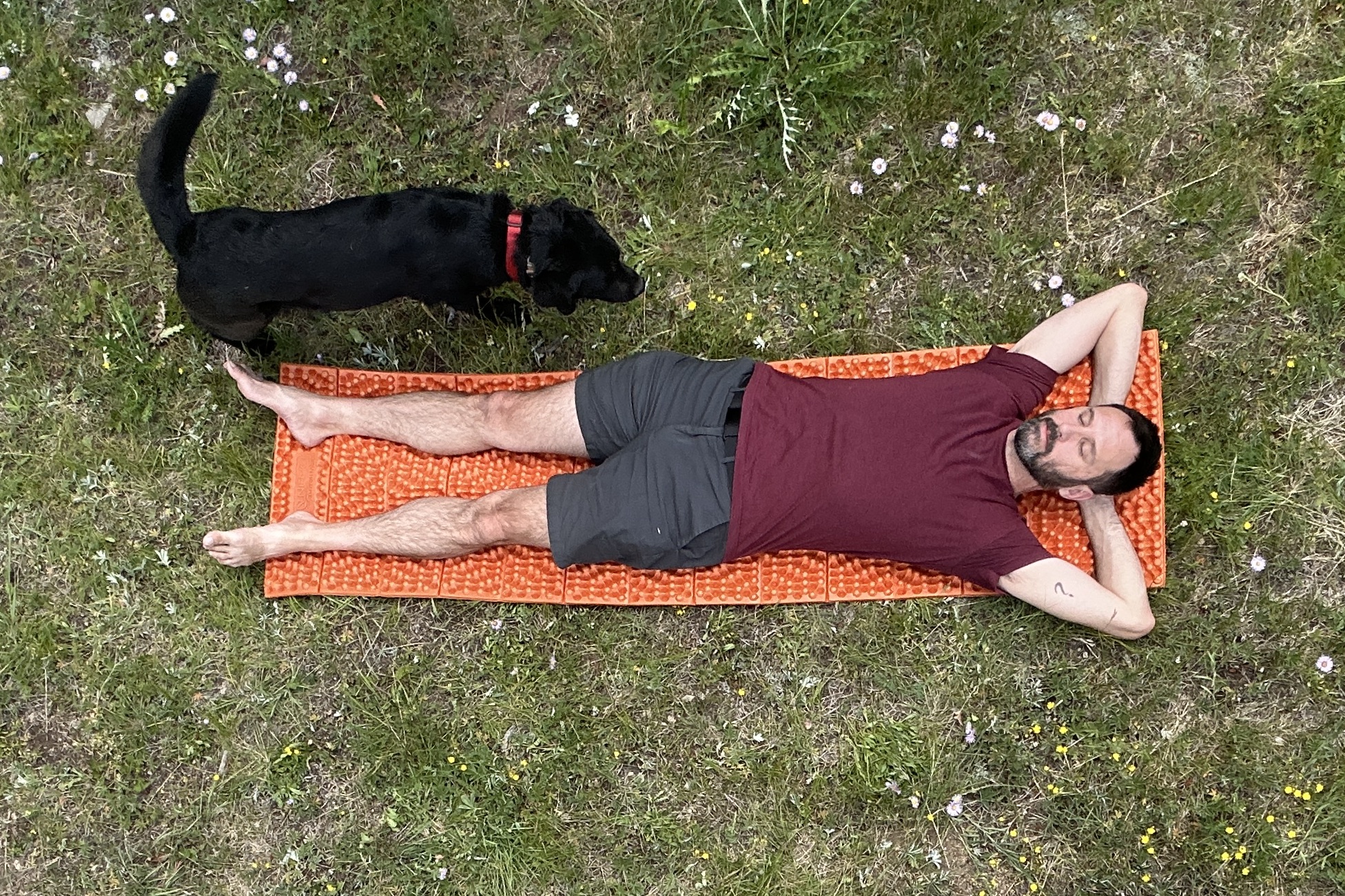 A man relaxes on his back with hands behind his head on an orange sleeping pad with a dog next to him.