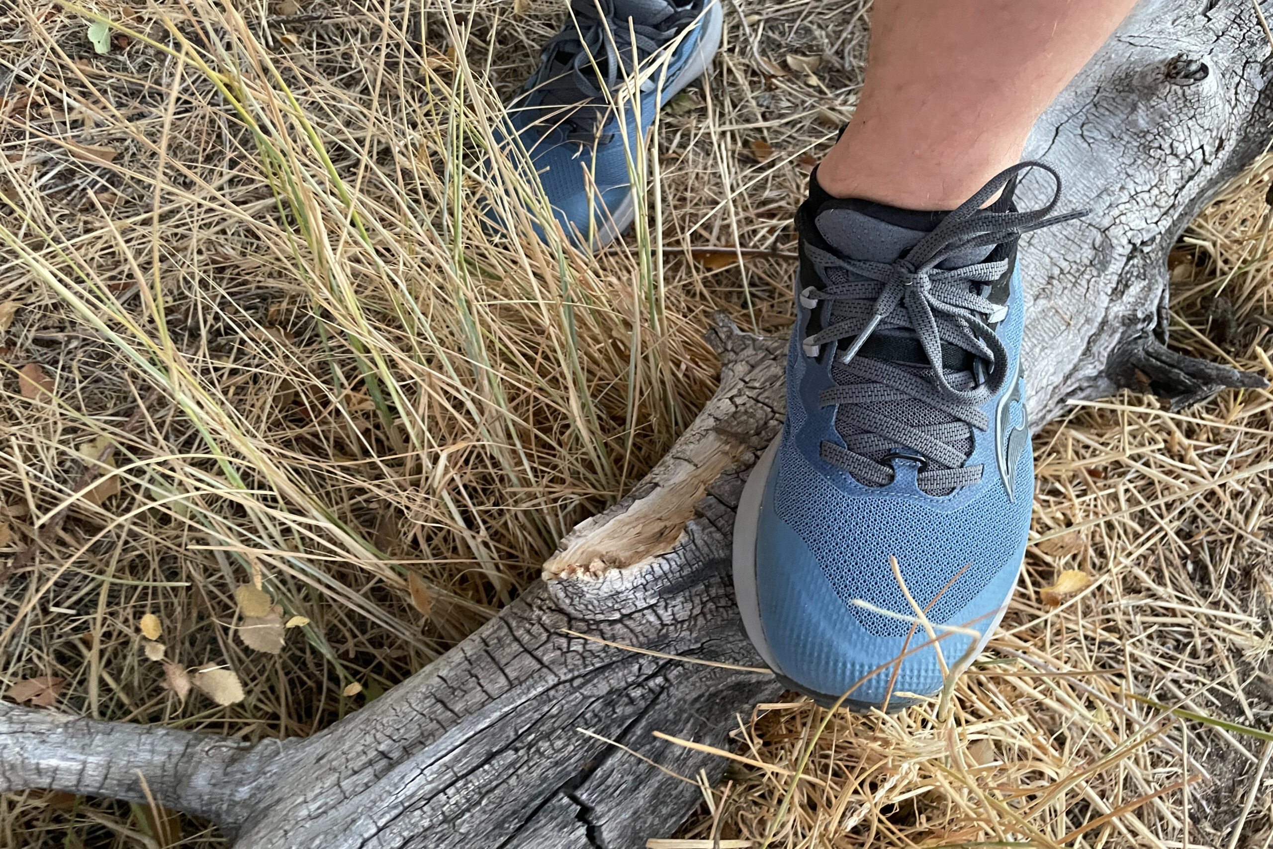 top down view of saucony peregrine 14 hiking shoes on a log and dry grass