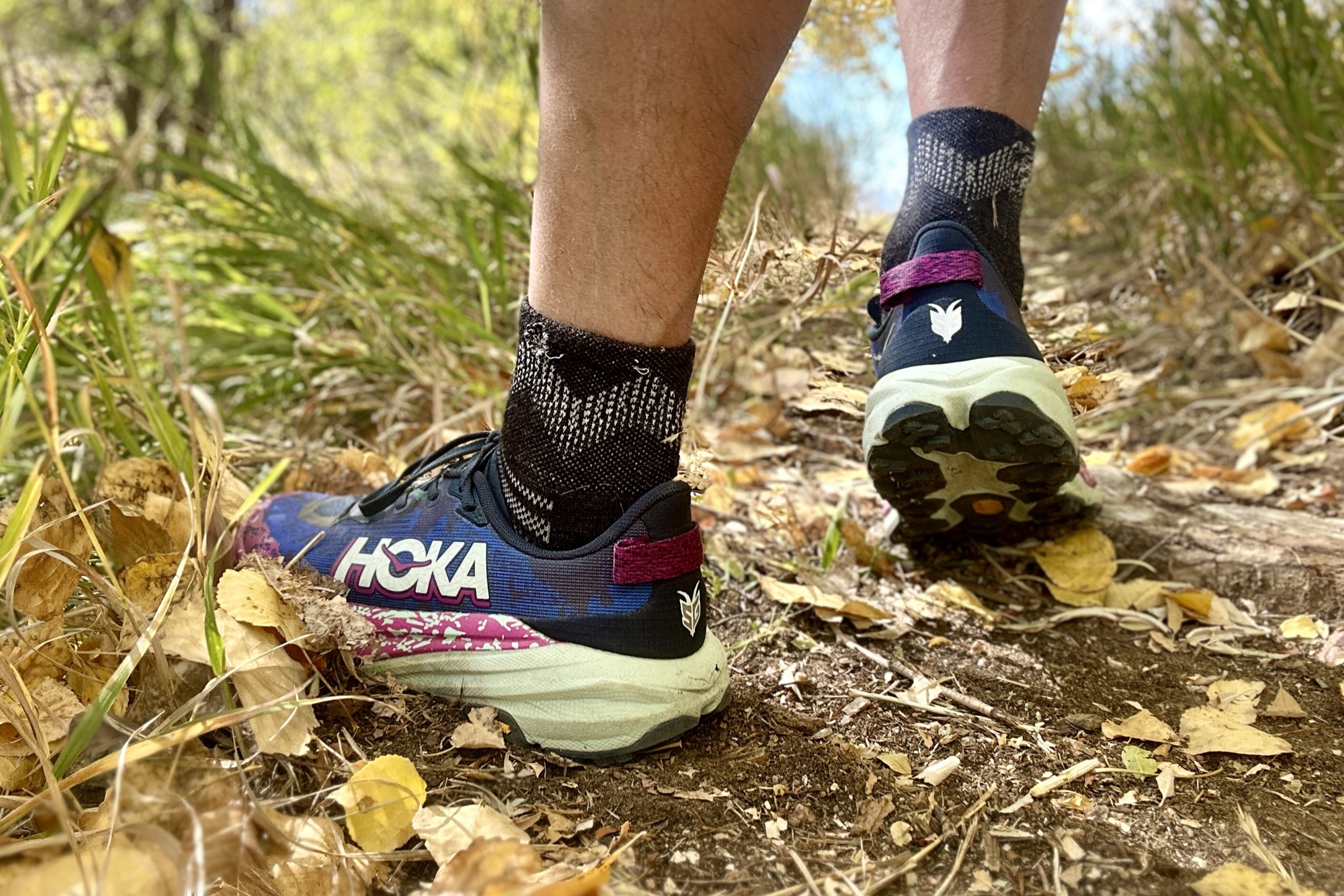 Close up of a pair of running shoes from behind.