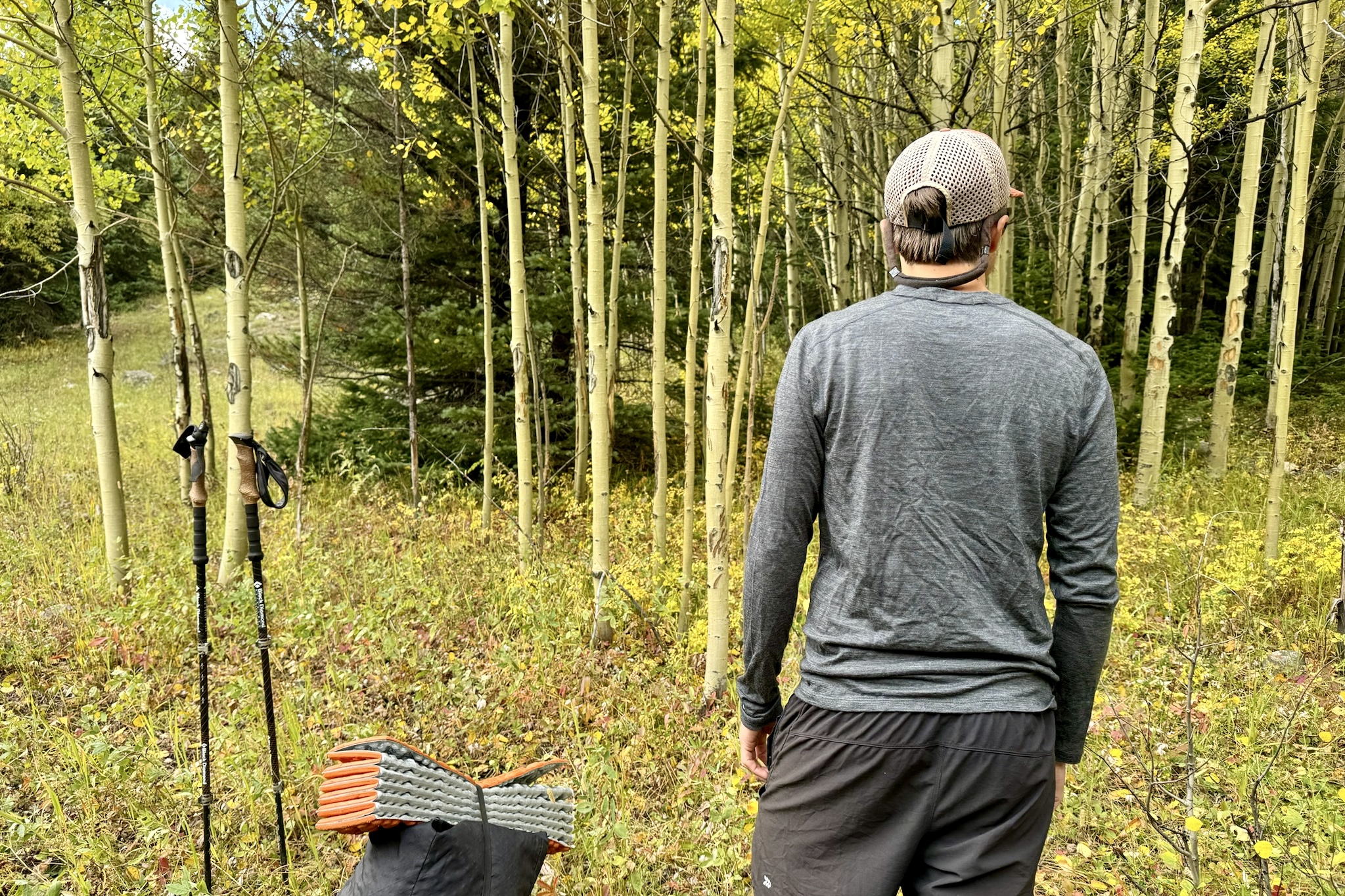 A hiker stands facing away from the camera wearing the Smartwool Classic All-Season base layer. Trees, trekking poles, and a backpack are in the background.