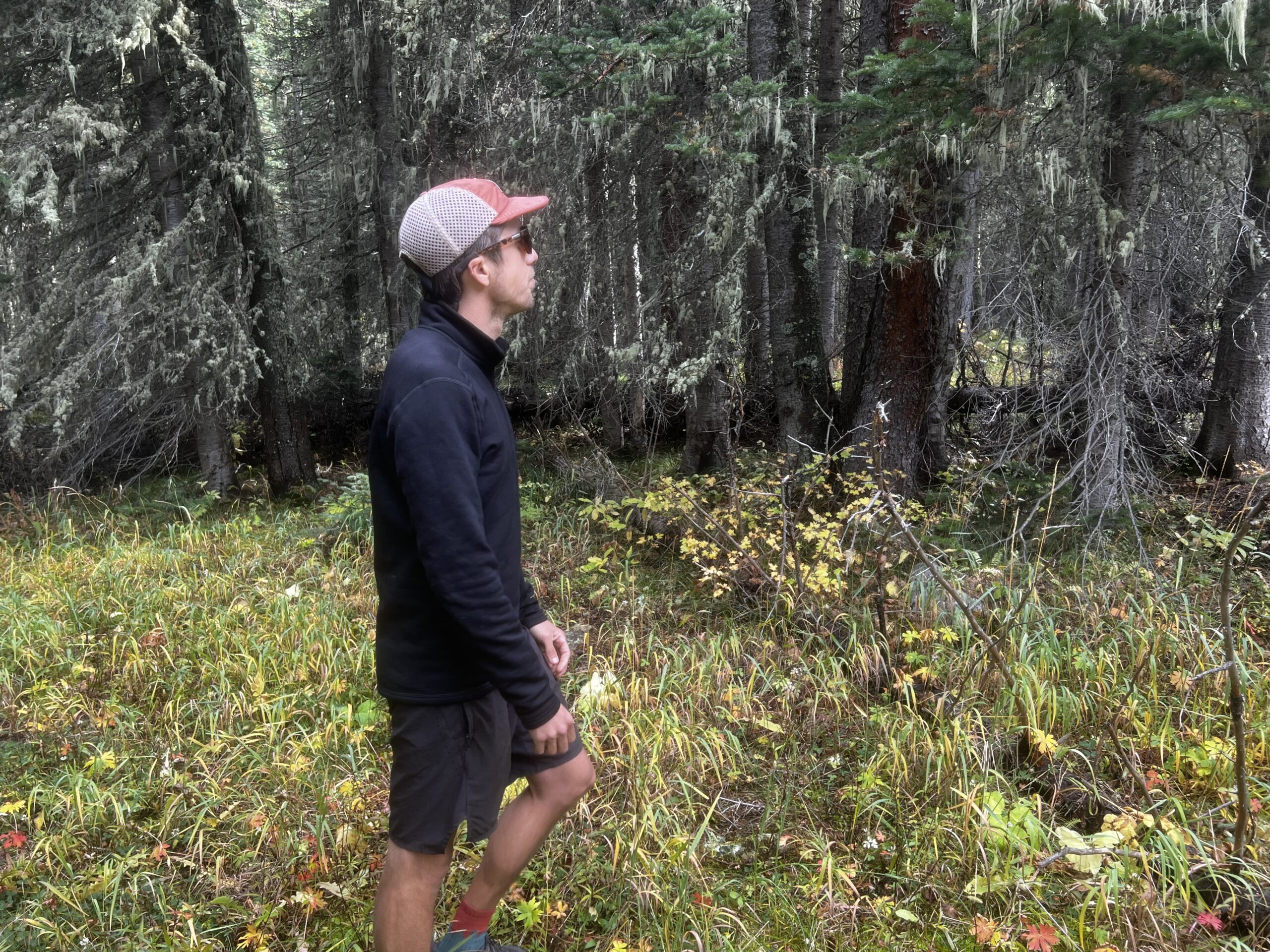 A hiker stands in the woods wearing the Arc'teryx Rho Heavyweight Zip Neck base layer. Trees are in the background.