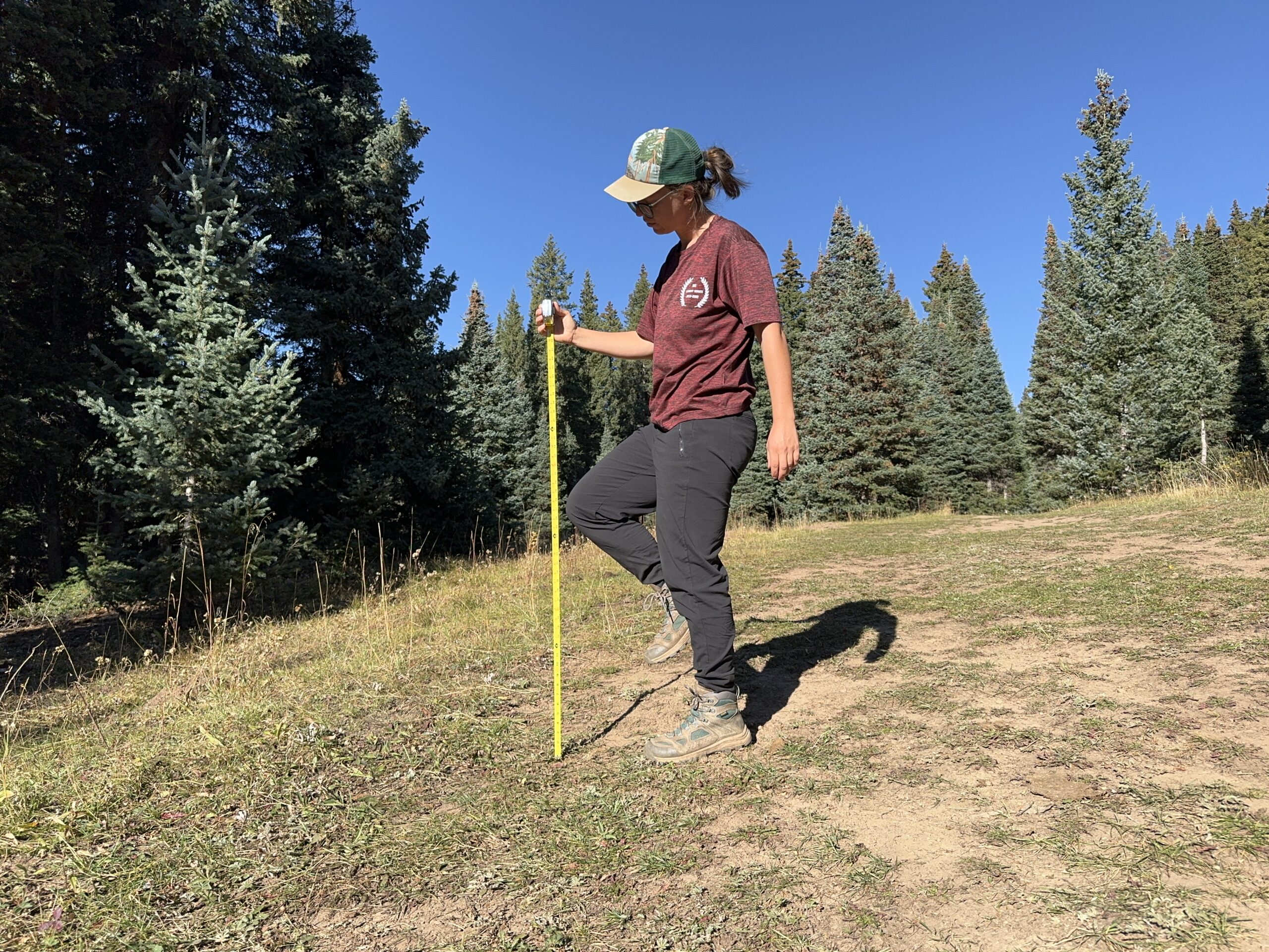 A person is standing outside in the forest with one leg raised and a measuring tape held out next to the leg.