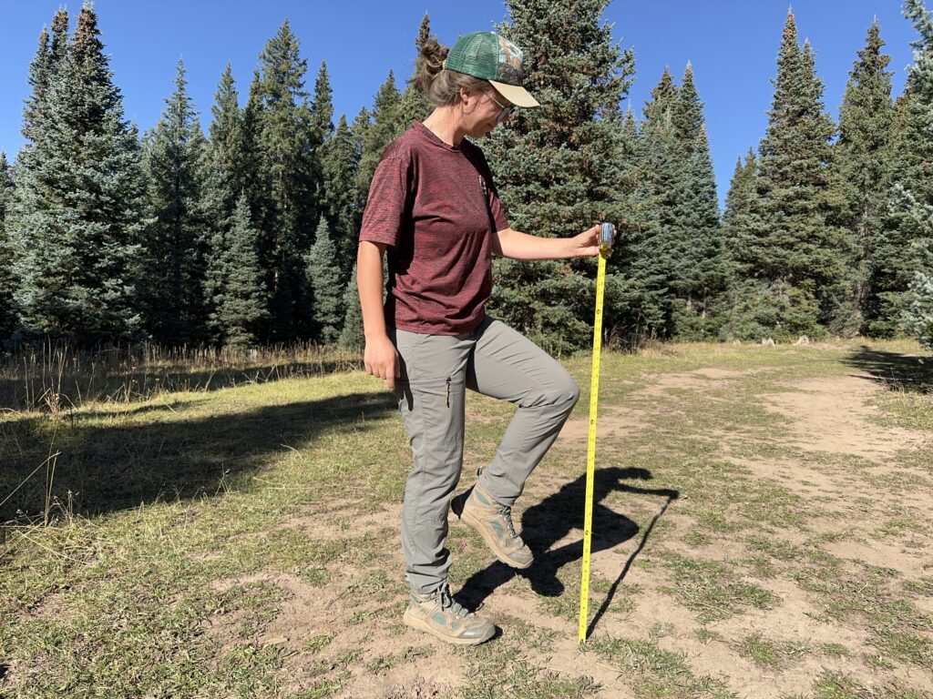 testing the range of motion in the REI trailmade hiking pants for women in a forest meadow