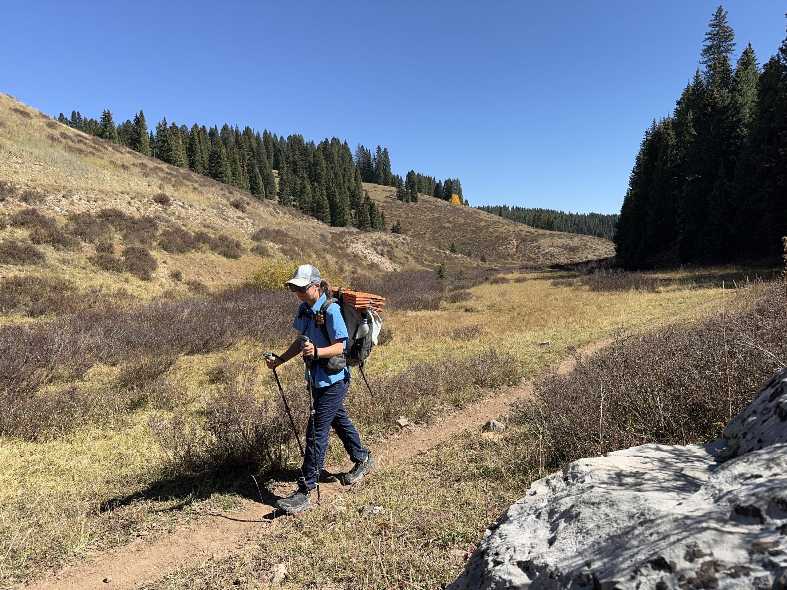 a hiker walking on a trail on a sunny fall day wearing the north face aphrodite 2.0 pants