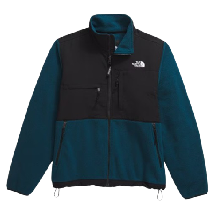 stock image of denali retro fleece jacket by the north face