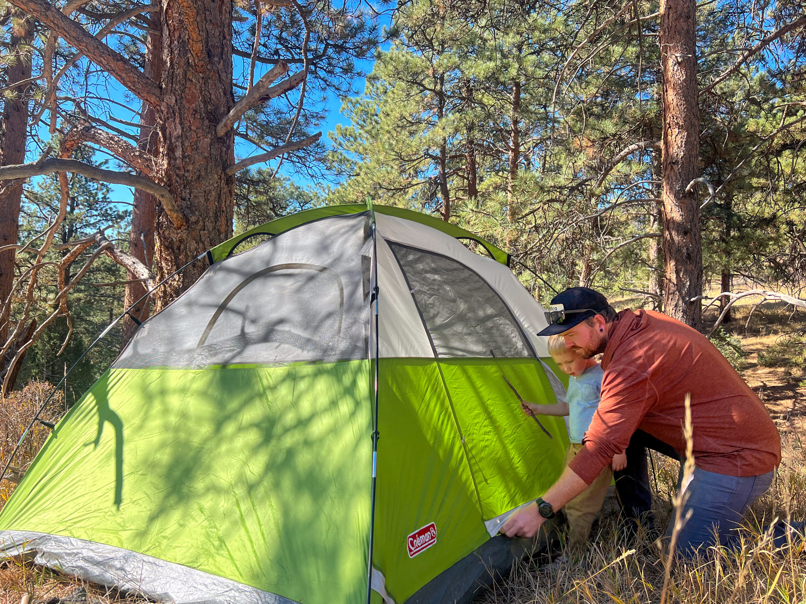 A father and his young child are setting up a Coleman Sundome 4 tent in a forested area. The father is adjusting the tent's entrance while the child stands beside him, holding a stick. The tent is green and gray, surrounded by tall trees and sunlight filtering through.