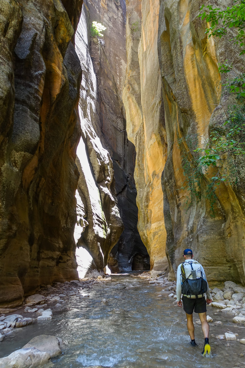 a backpacker walking into a slot canyon with parts shaded, parts in the sun with green plants holding onto edges of the cliffs