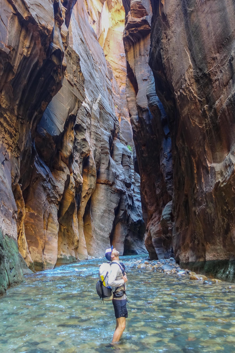 a hiker stops to look up at the thousands of feet tall sandstone canyon cliffs in zion national park