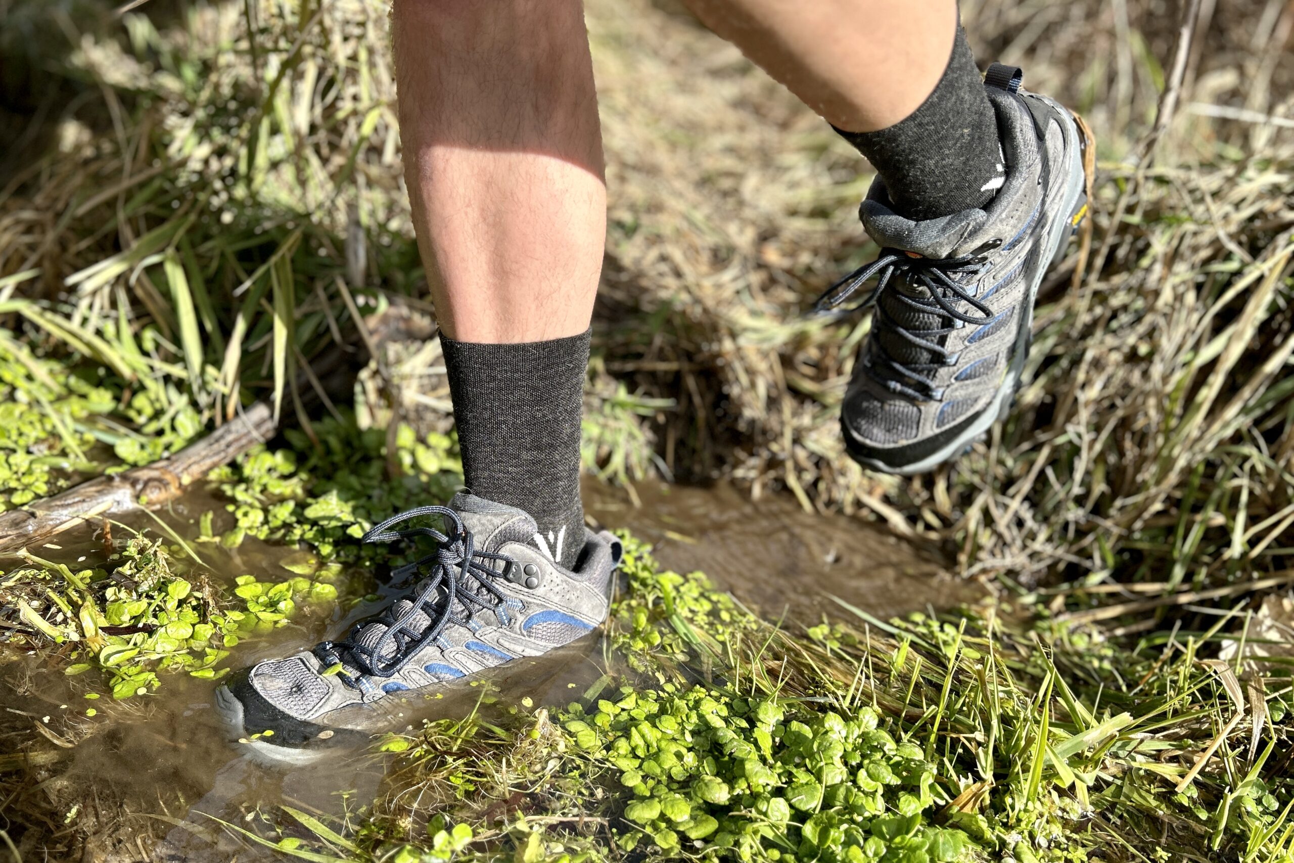 Close-up image from the knees down of a person walking in hiking boots in a wilderness area.