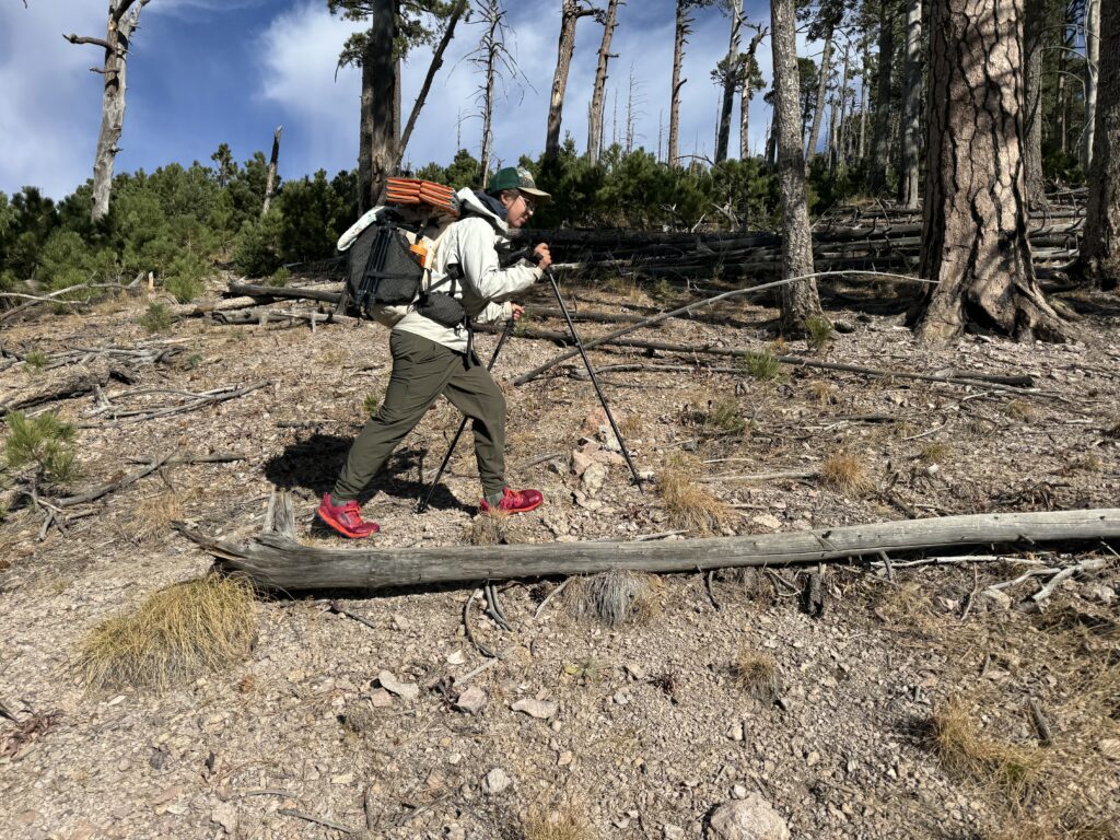 A hiker is walking down a trail in the woods while wearing the Happy Hike pants.