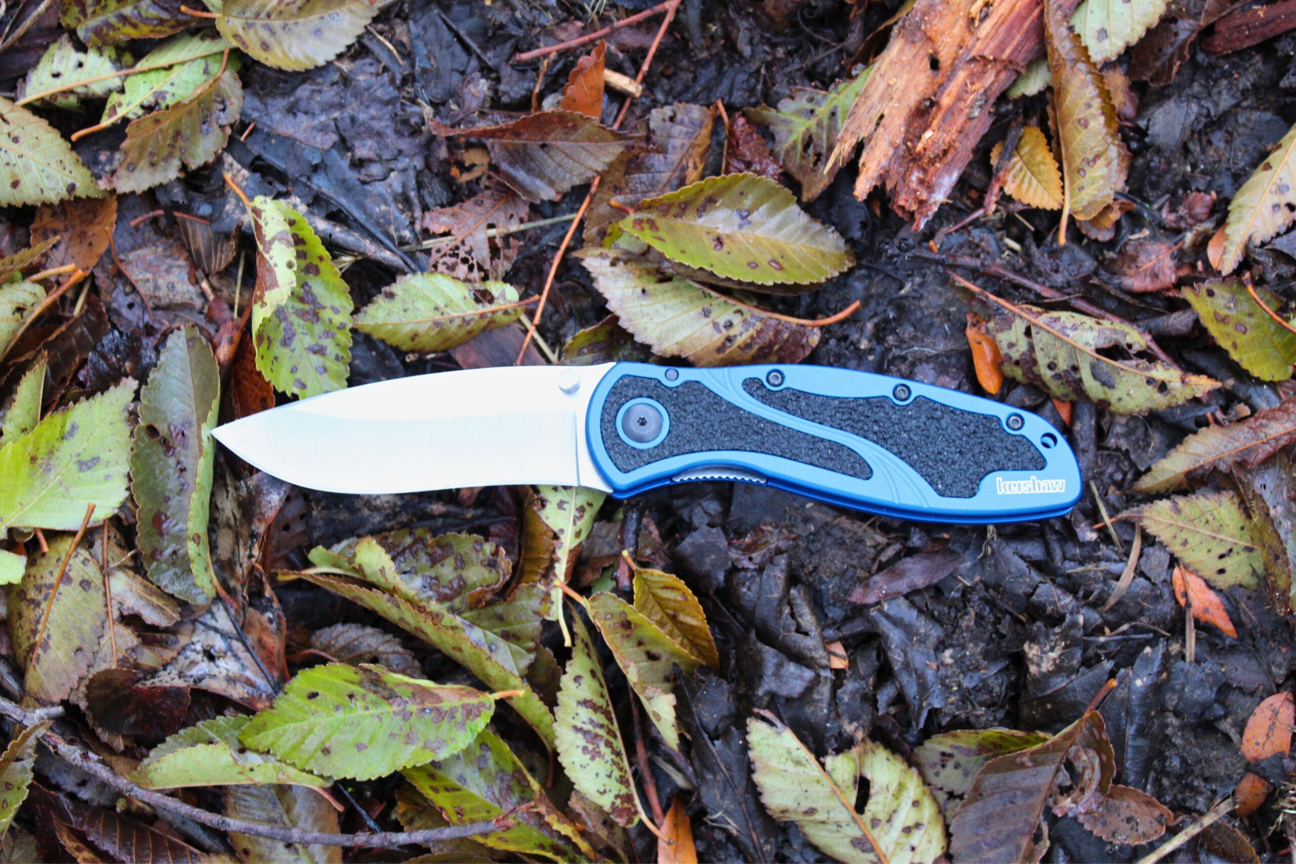 The Kershaw Blur pocket knife open on a bed of leaves