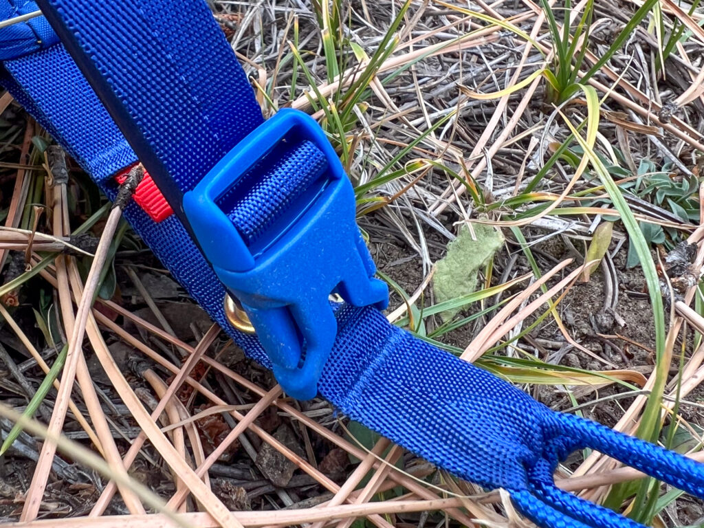 Close-up of a blue plastic clip attached to a durable nylon strap, showcasing part of the tent's rainfly attachment system. The strap lies on dry grass and pine needles in an outdoor setting.