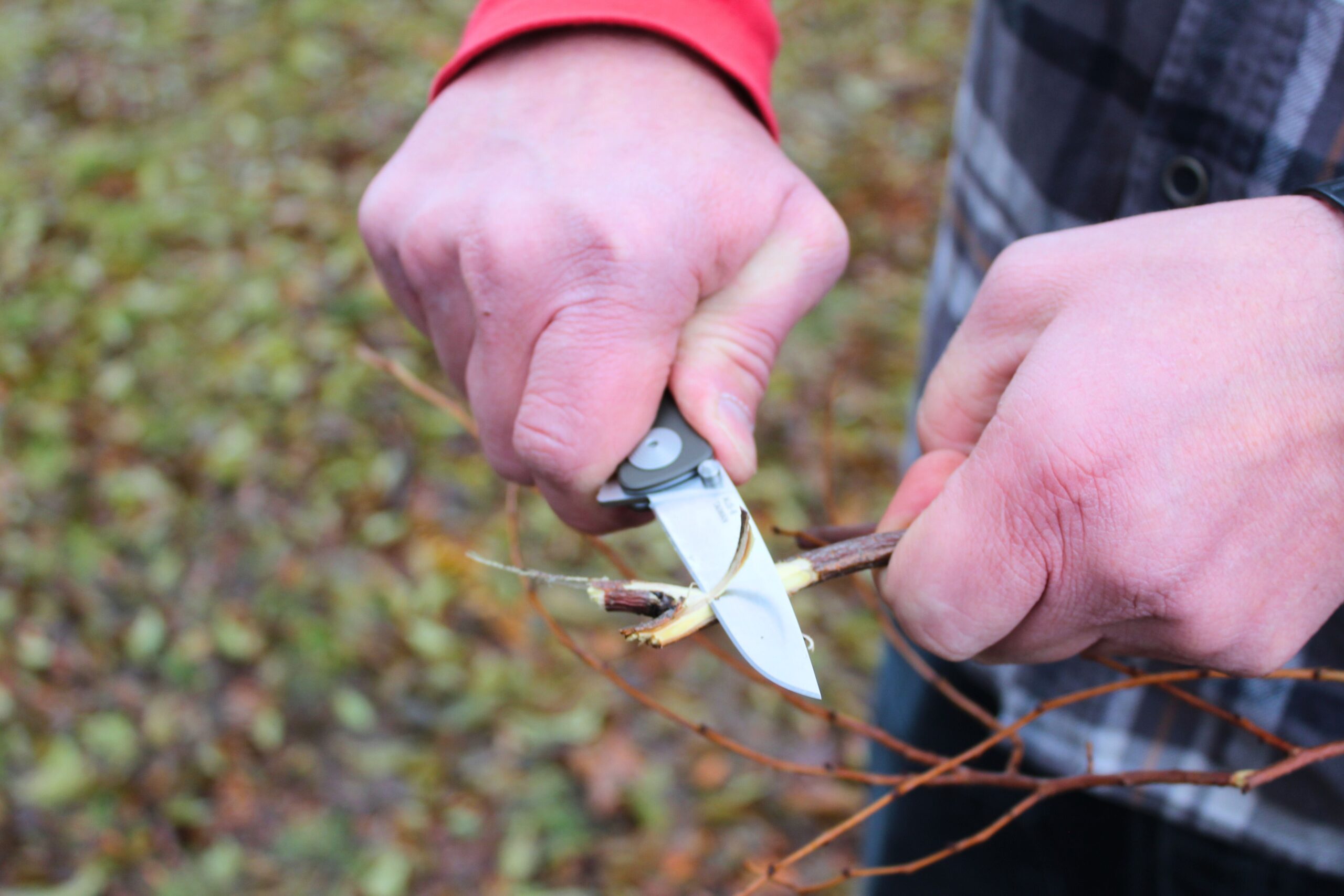 Using the SOG Twitch II pocket knife to whittle a stick