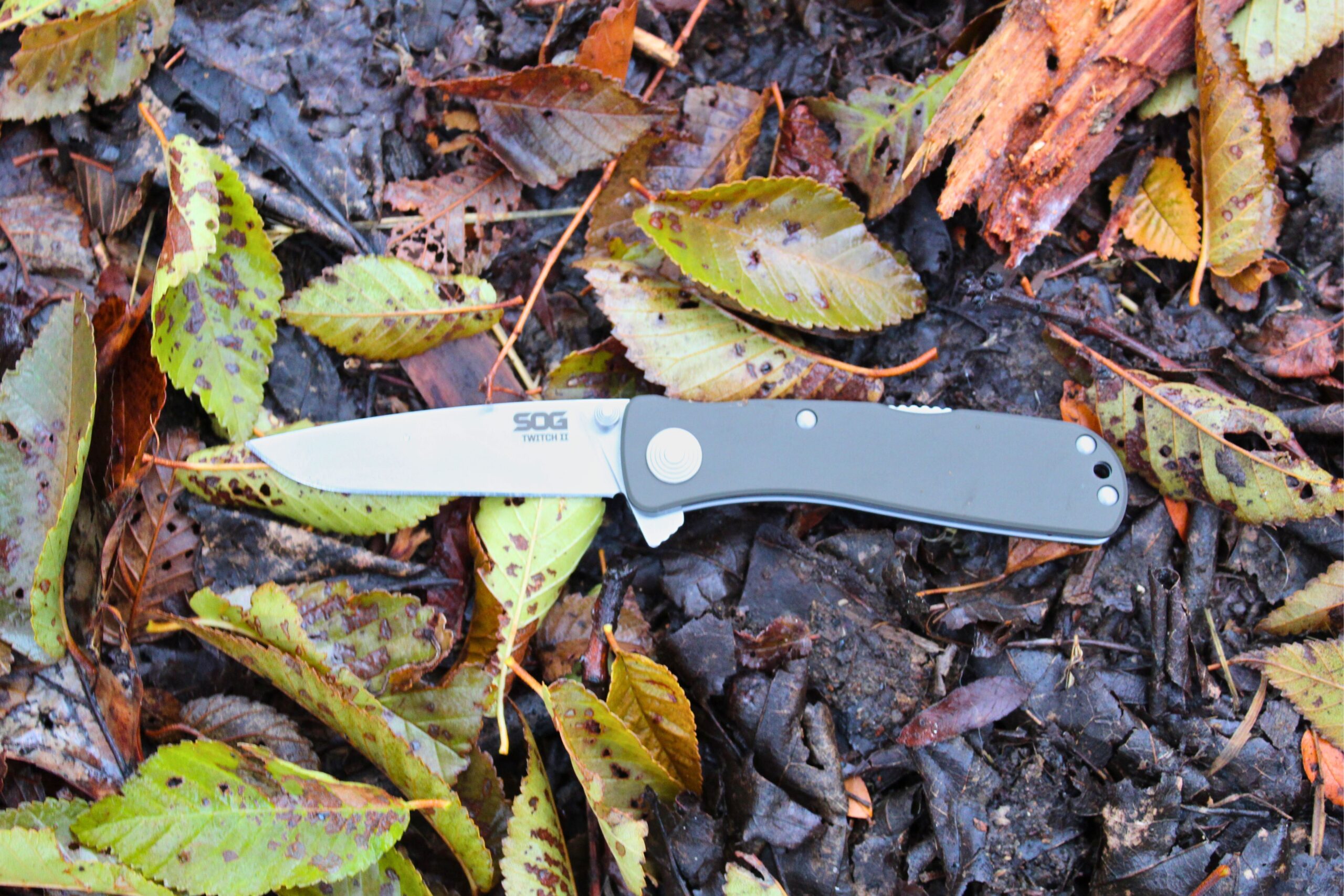 An open SOG Twitch II pocket knife on a bed of leaves